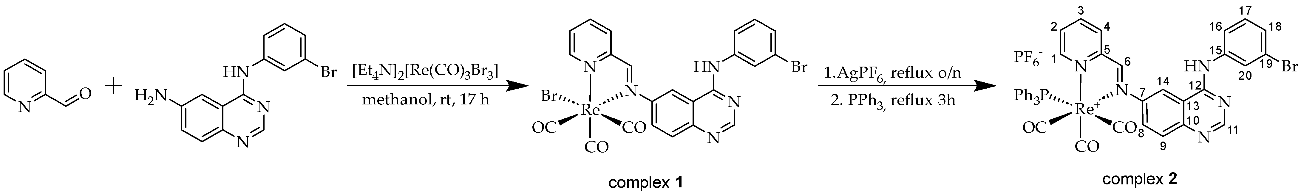 Pharmaceutics 16 01213 sch001
