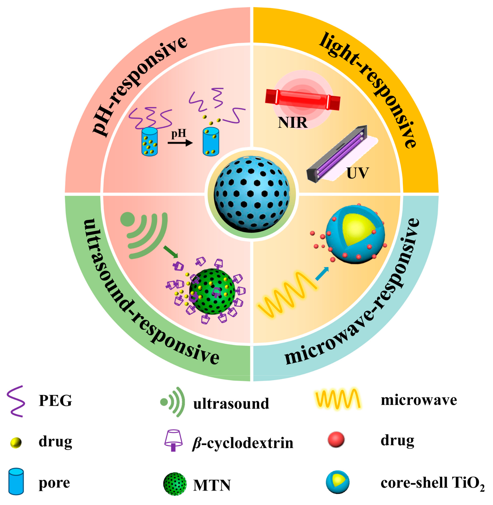 Pharmaceutics 16 01214 g004
