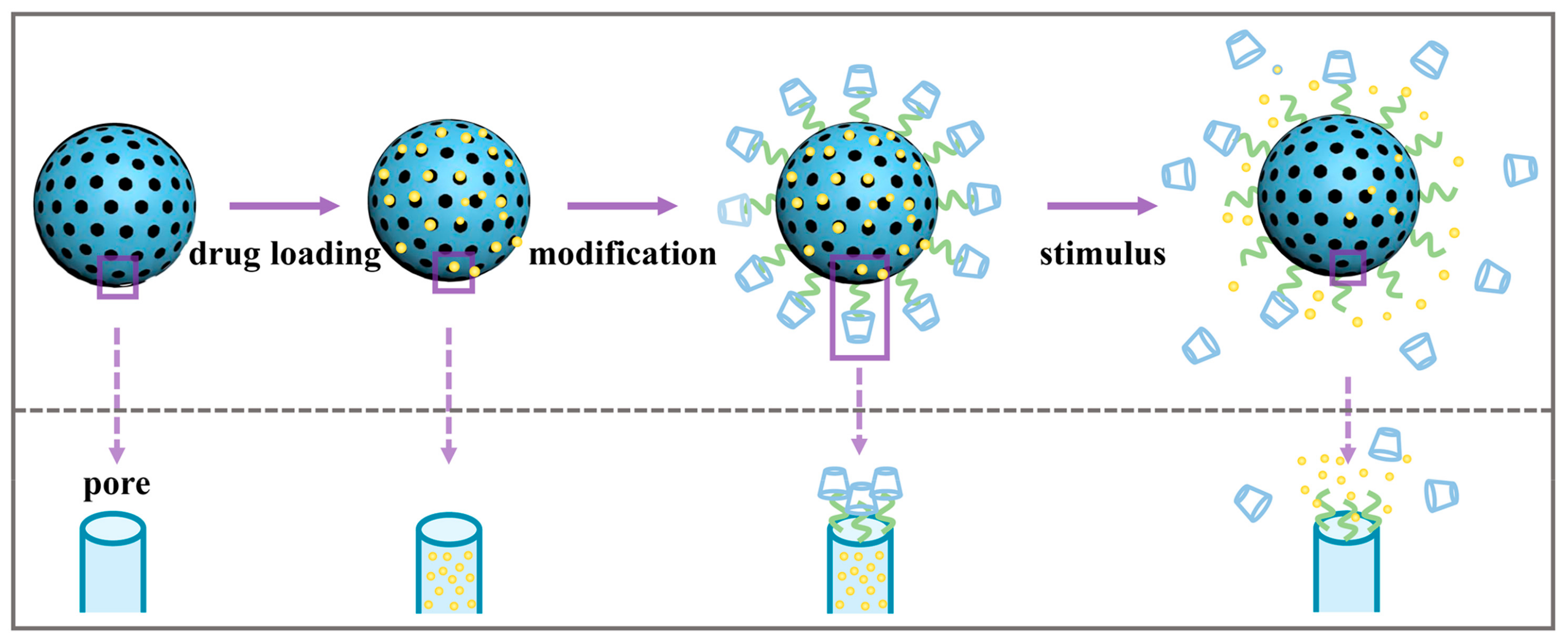 Pharmaceutics 16 01214 g005