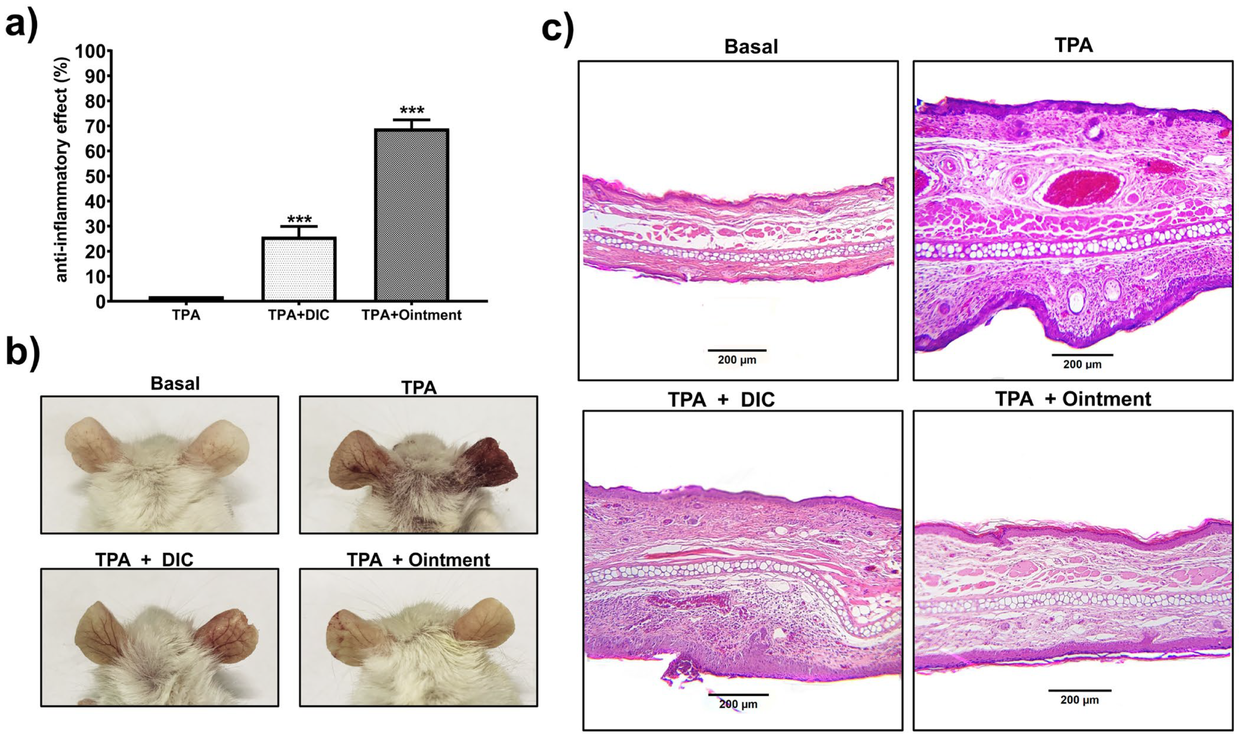 Pharmaceutics 16 01215 g005