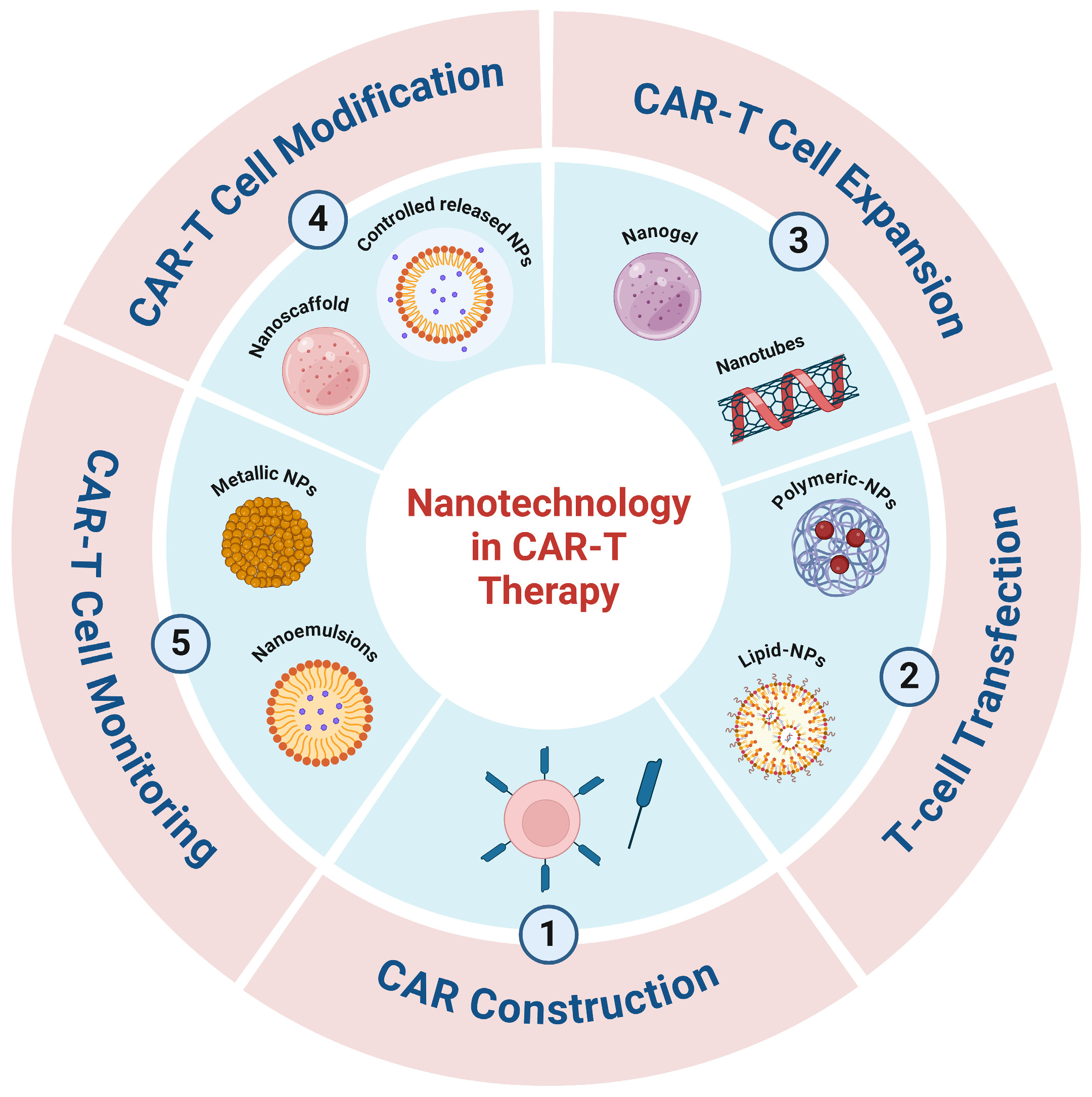 Pharmaceutics 16 01228 g001