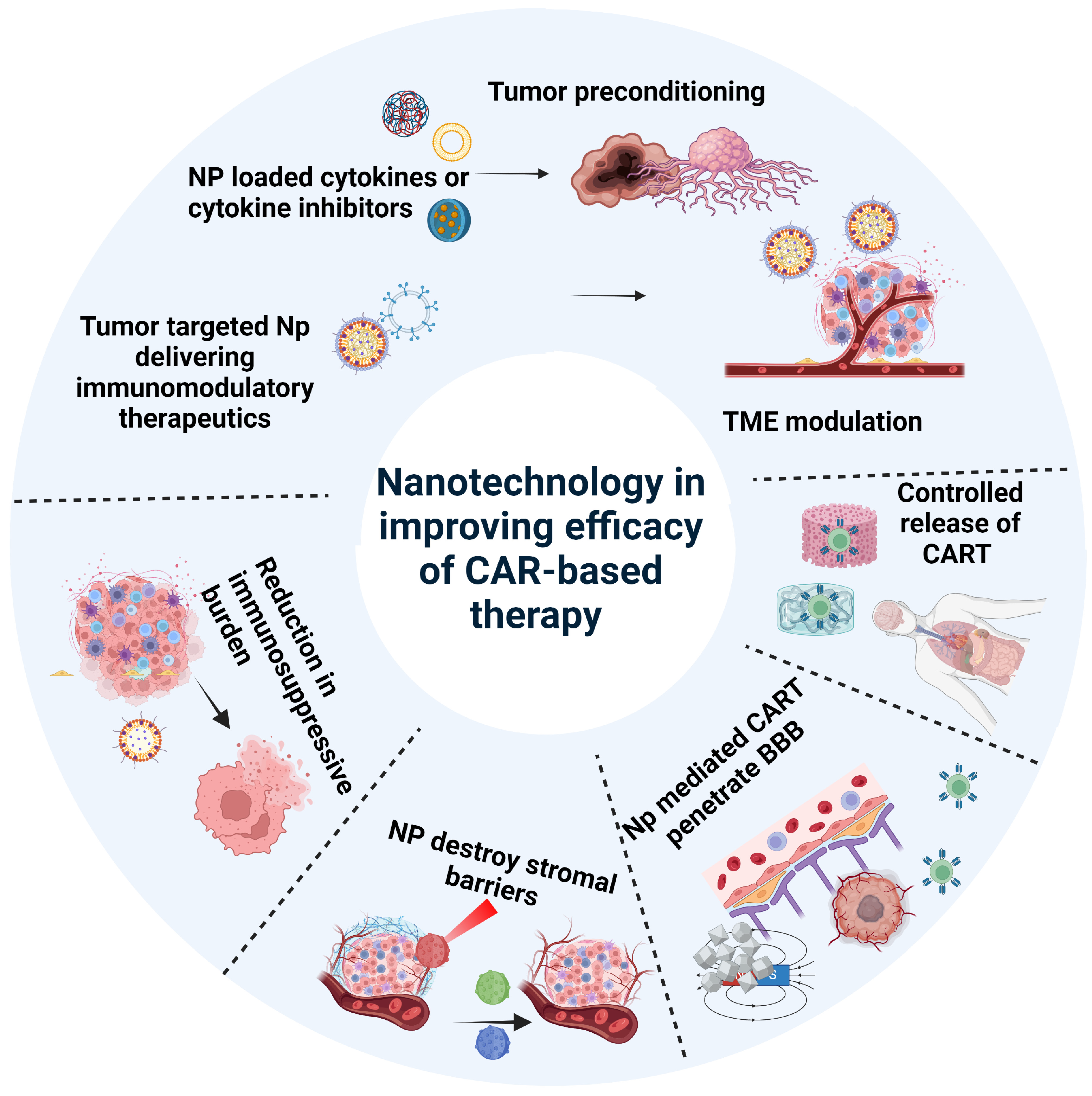 Pharmaceutics 16 01228 g003