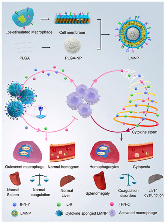 Pharmaceutics 16 01228 g005