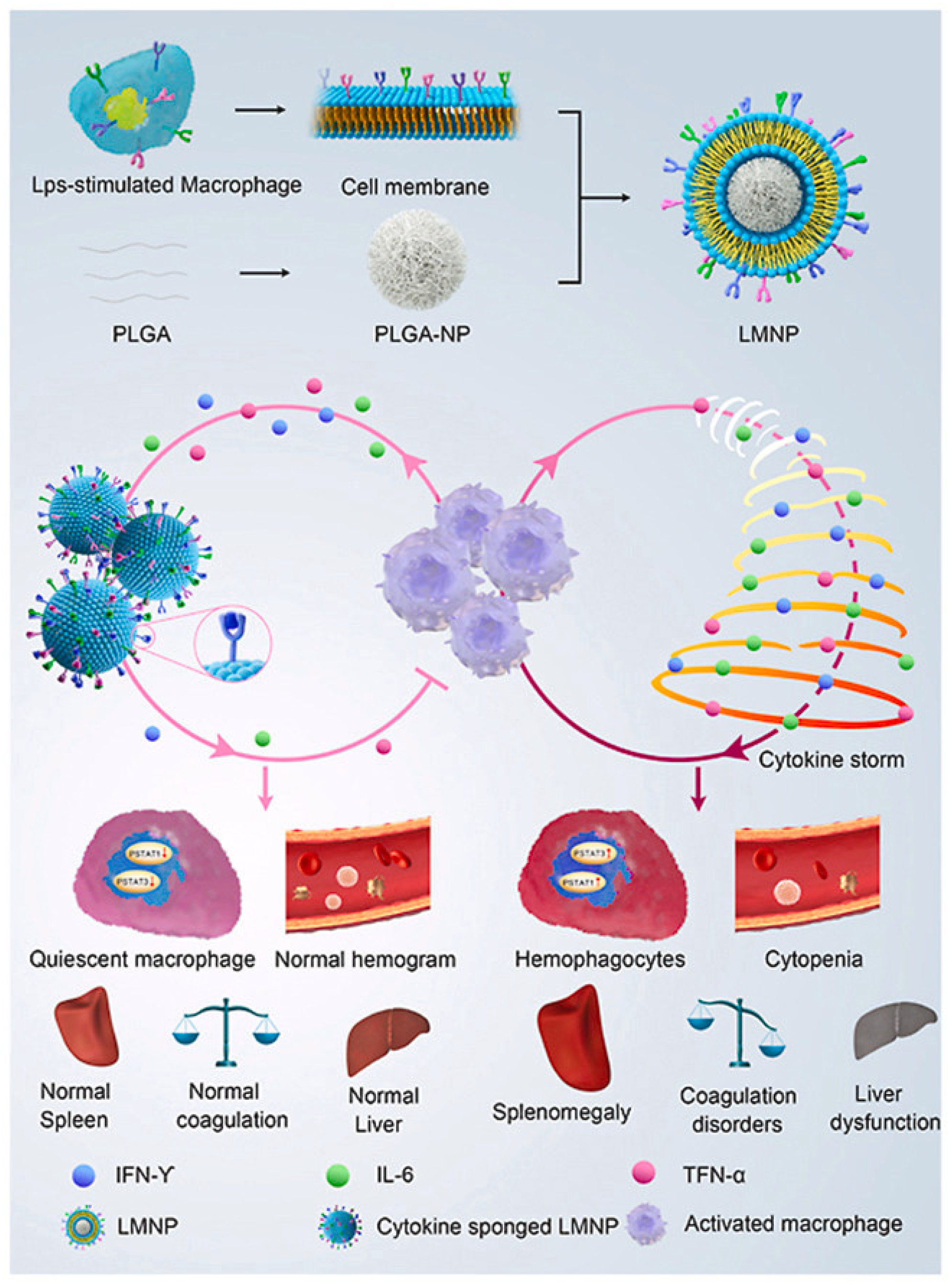 Pharmaceutics 16 01228 g005