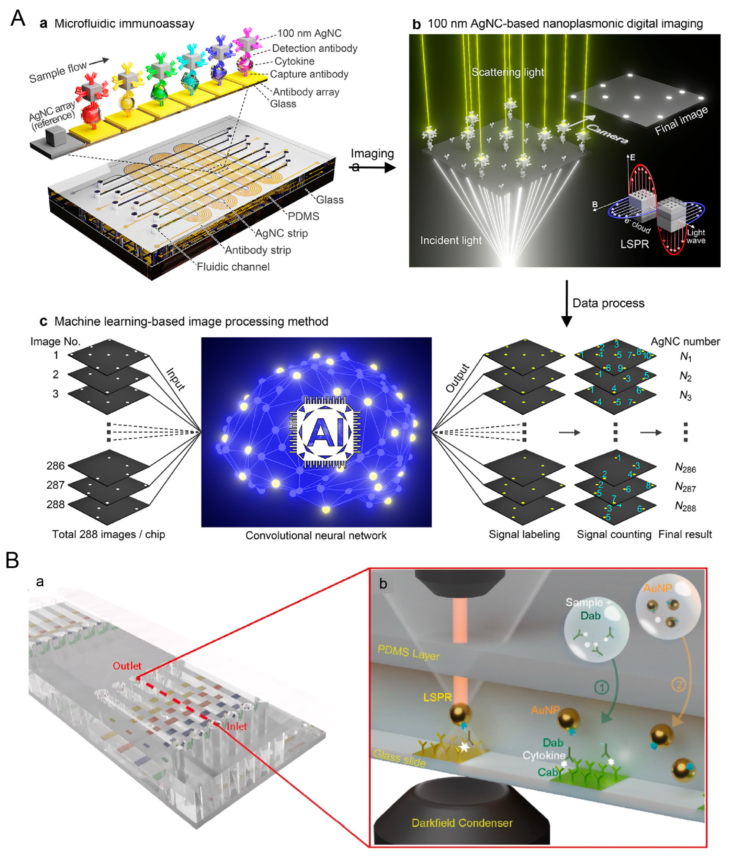 Pharmaceutics 16 01228 g006