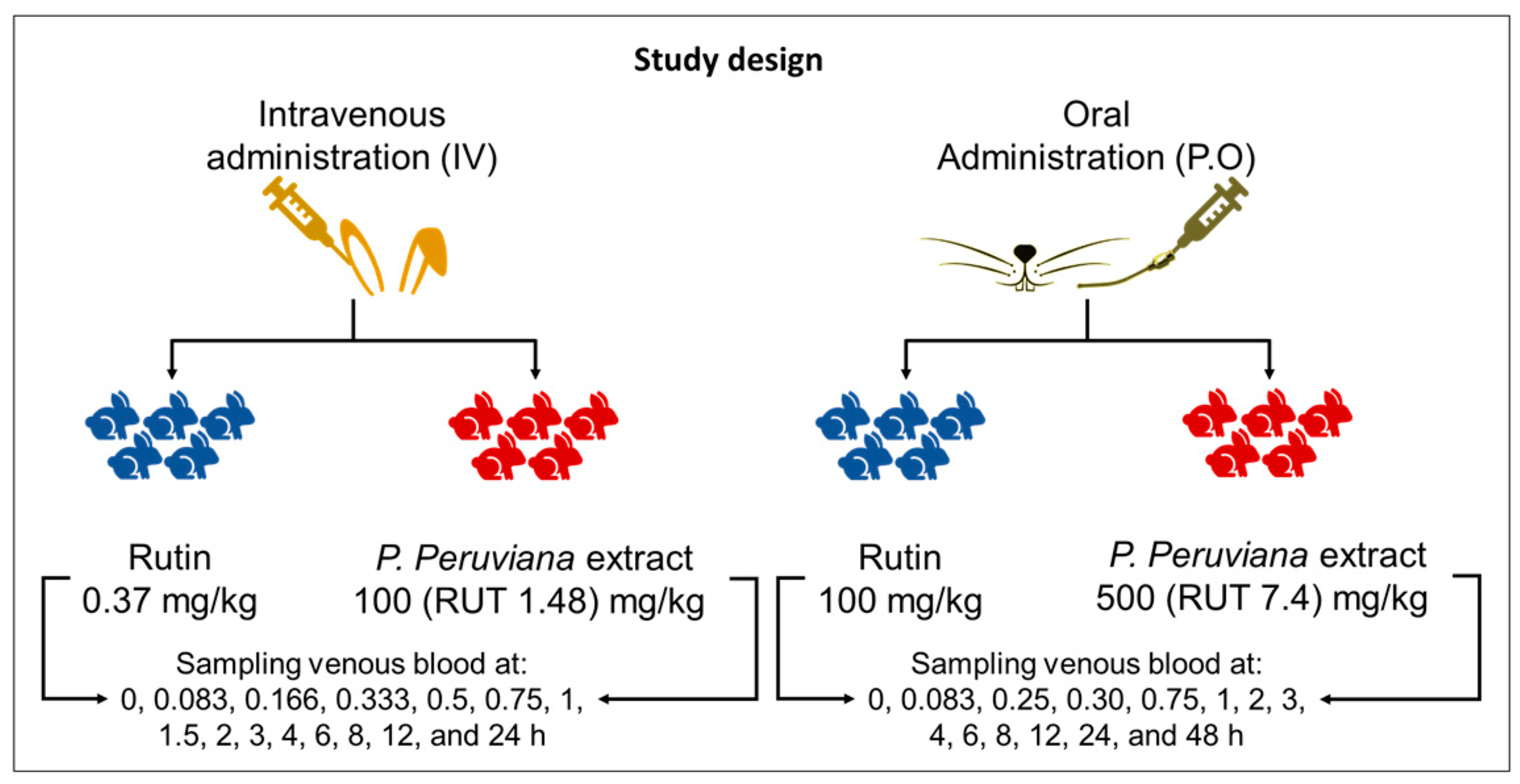 Pharmaceutics 16 01241 g001