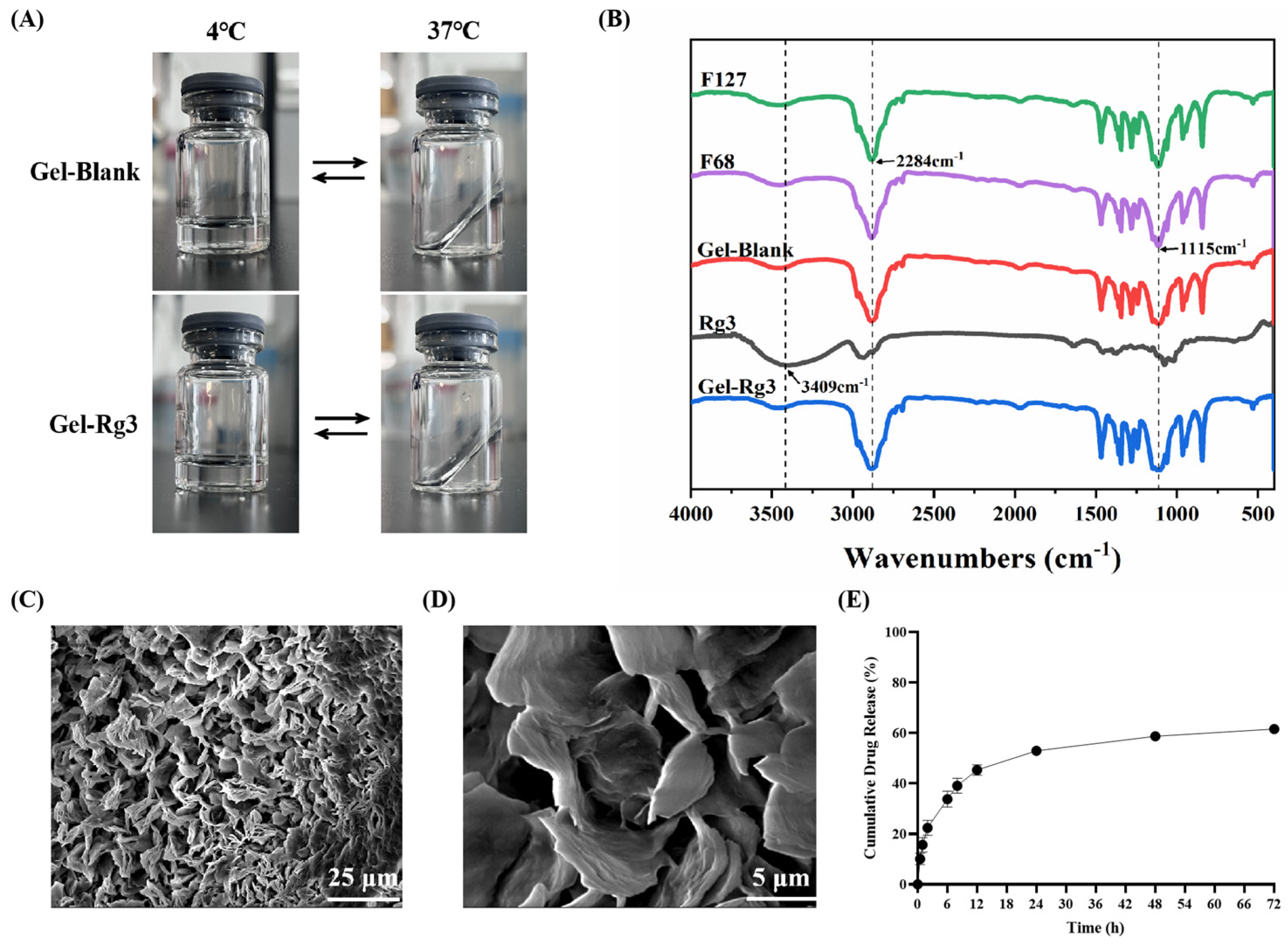 Pharmaceutics 16 01243 g002