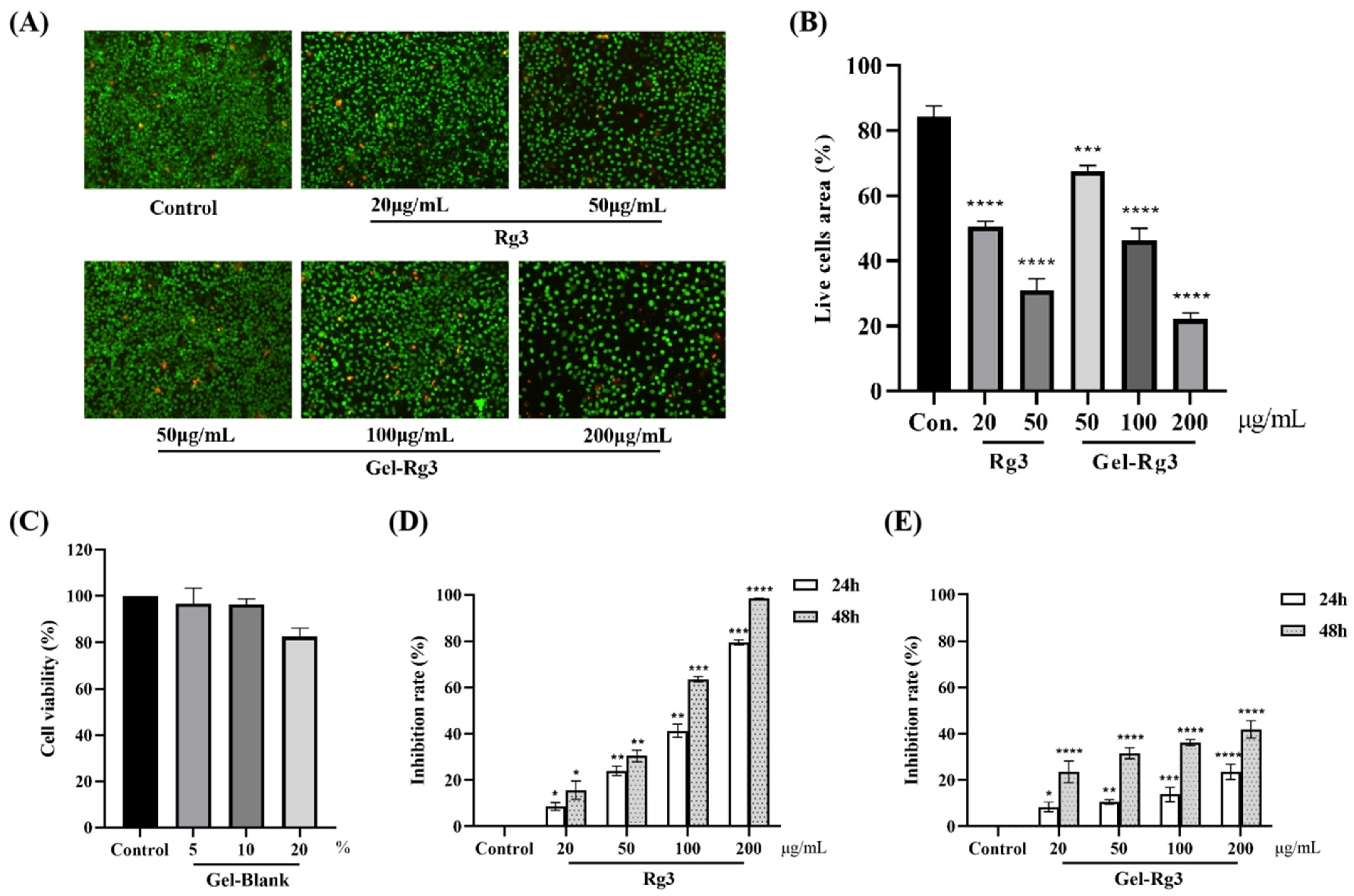 Pharmaceutics 16 01243 g004