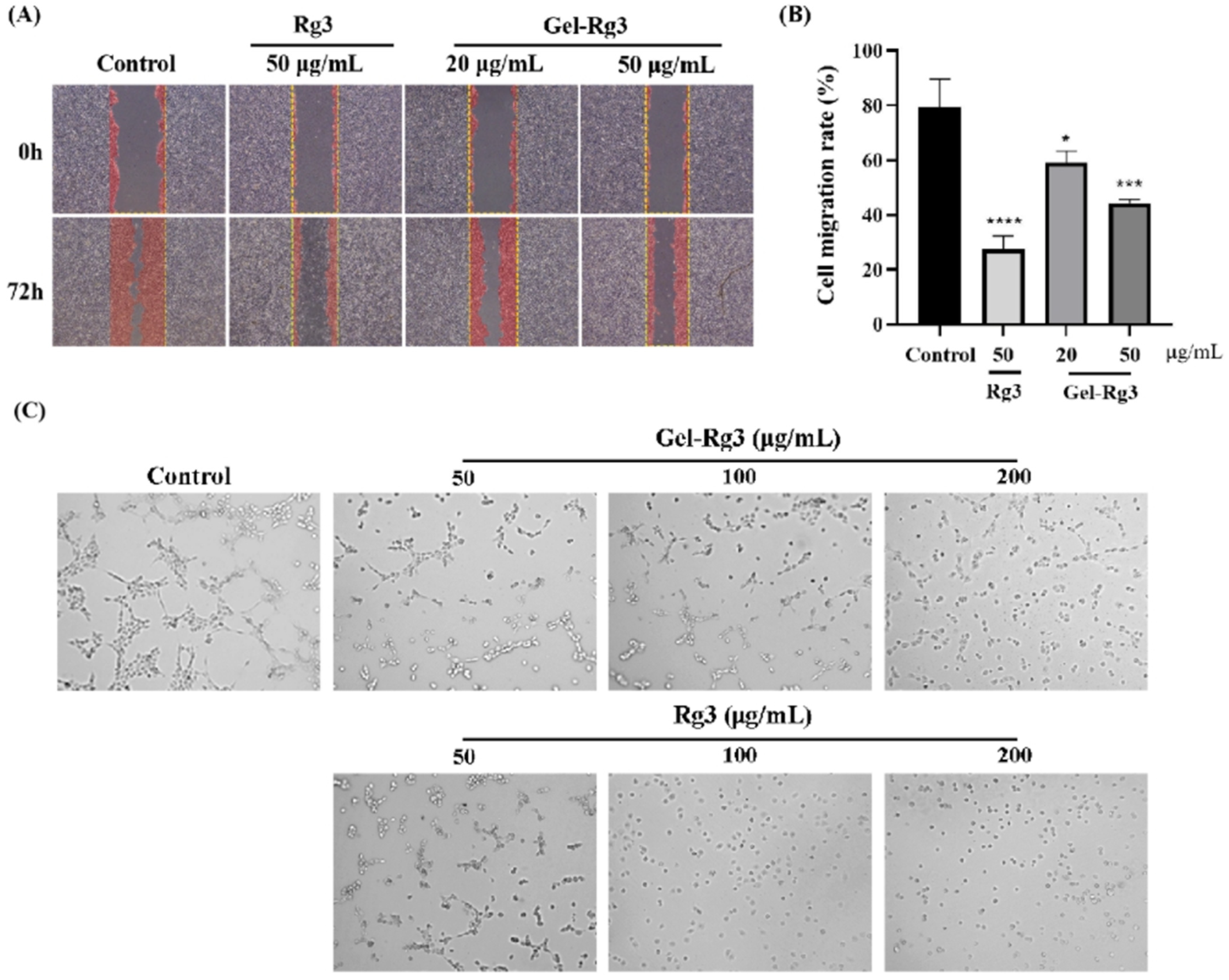 Pharmaceutics 16 01243 g005