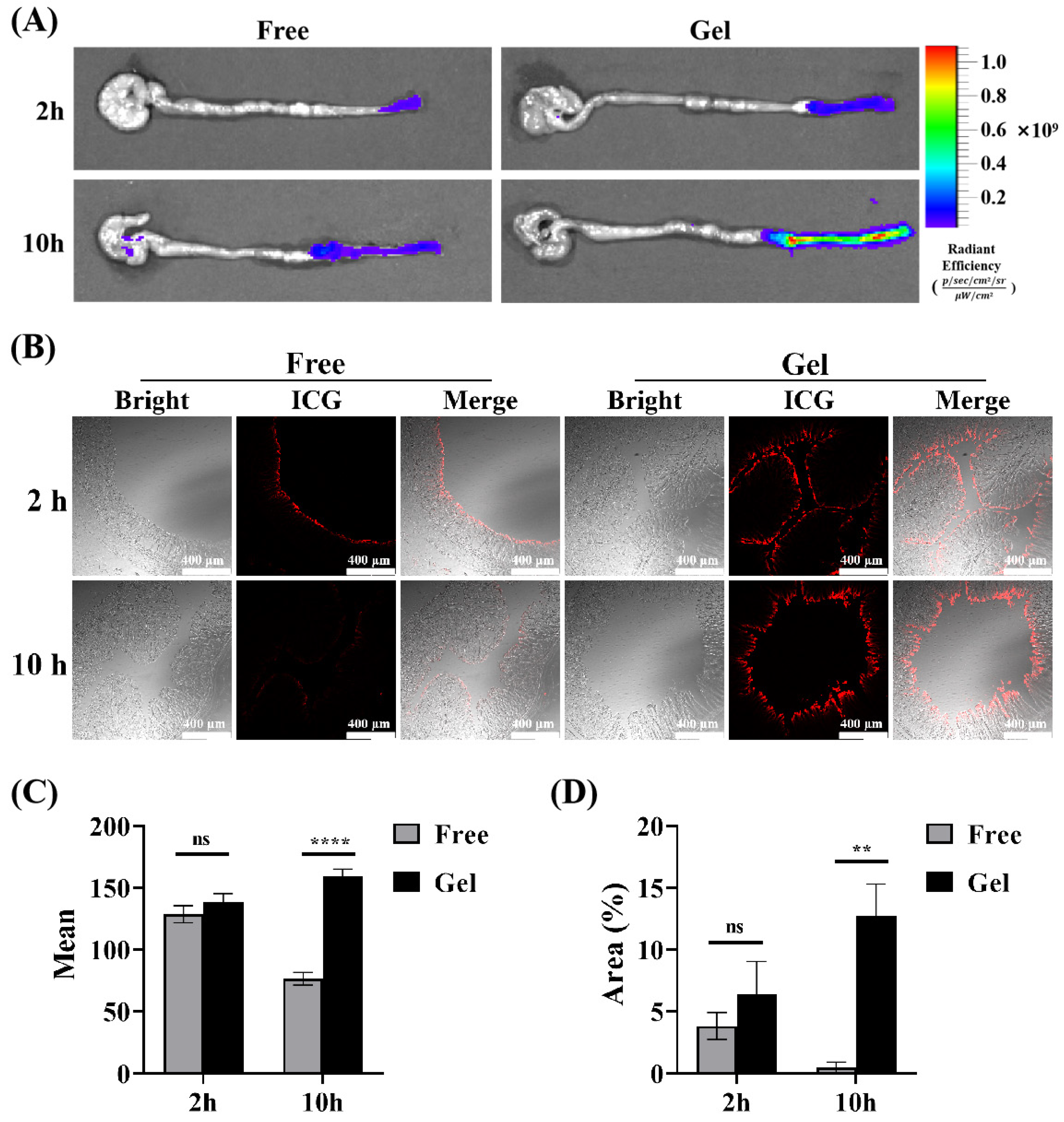Pharmaceutics 16 01243 g006
