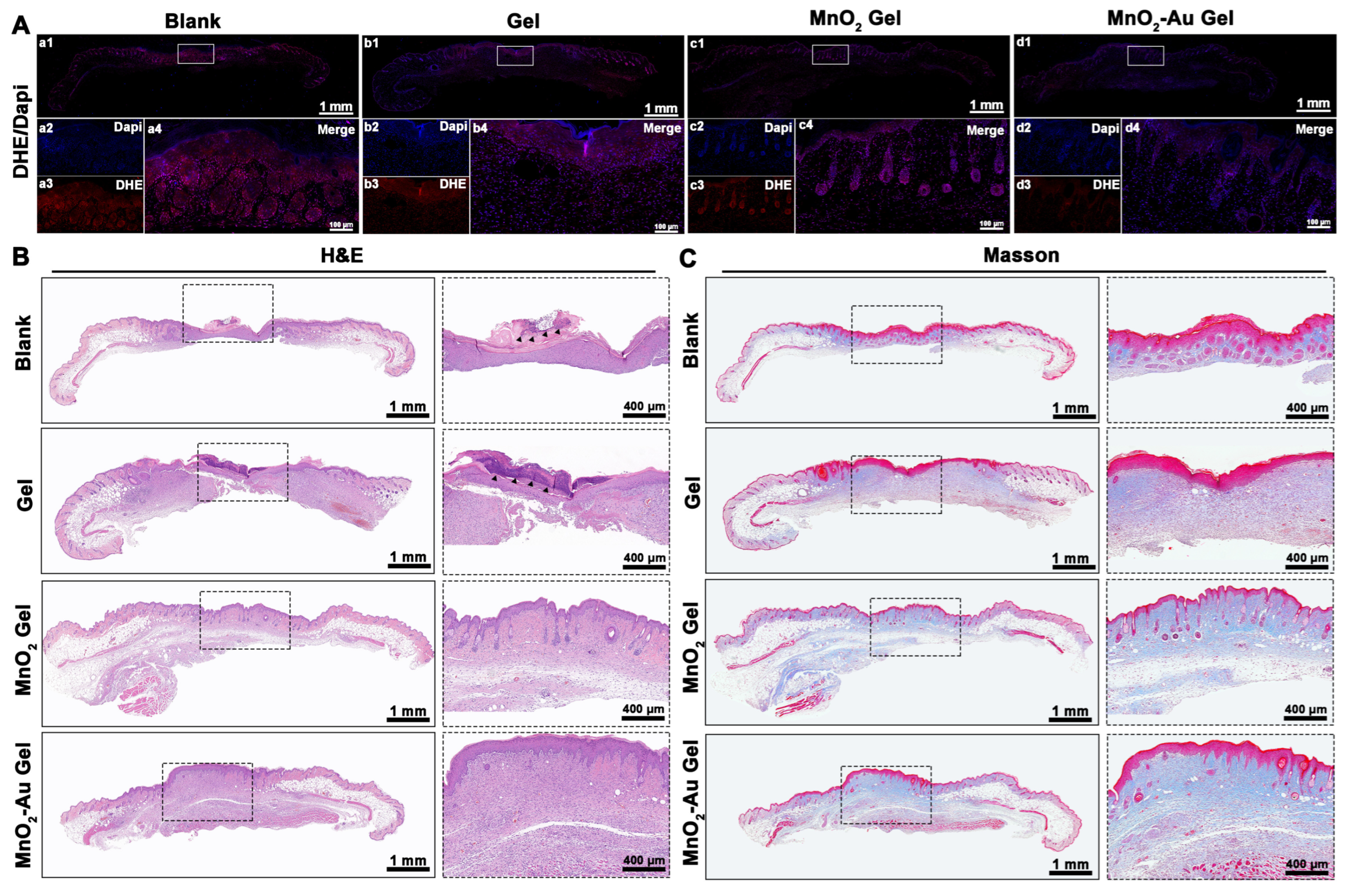 Pharmaceutics 16 01244 g006
