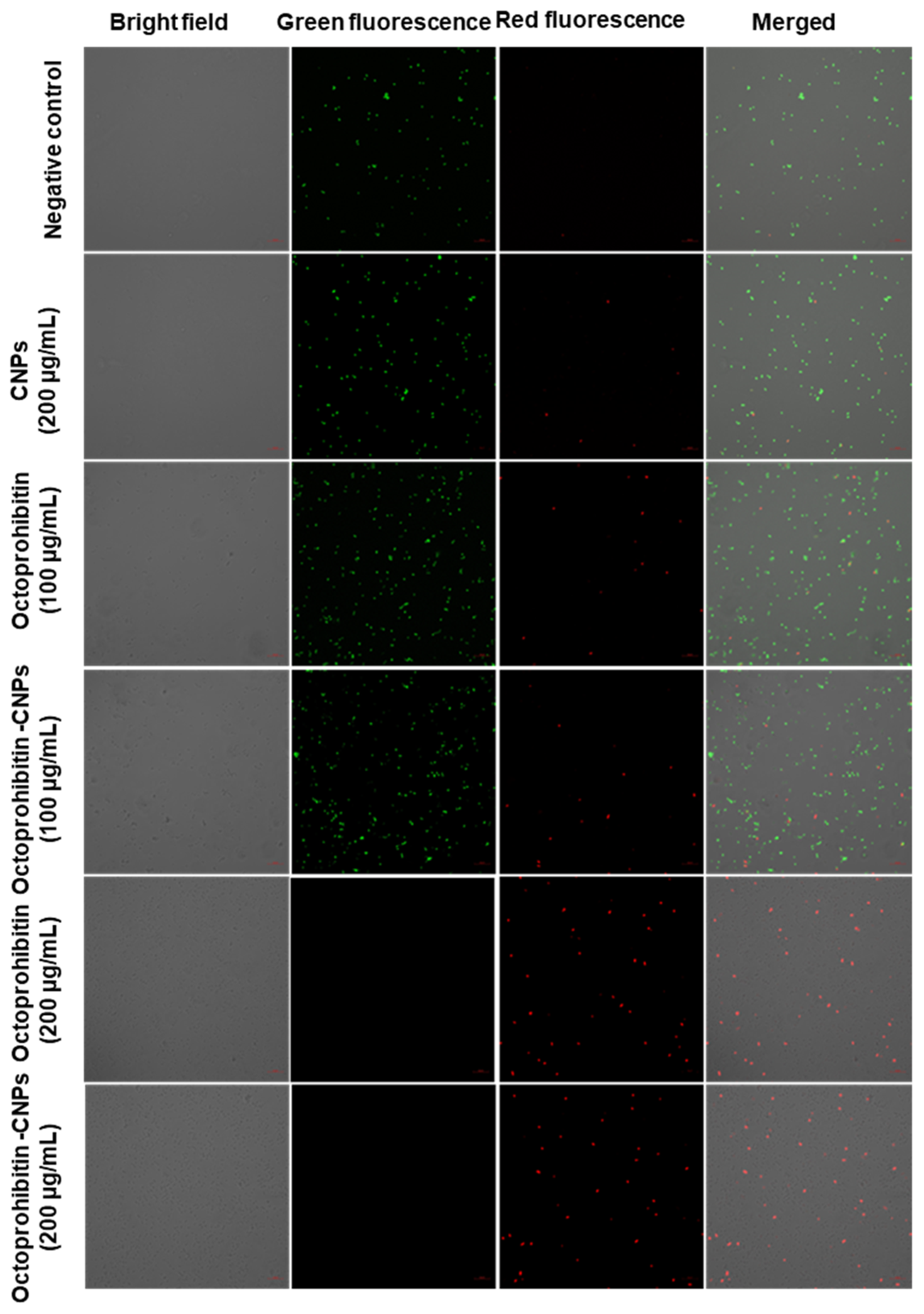 Pharmaceutics 16 01245 g005