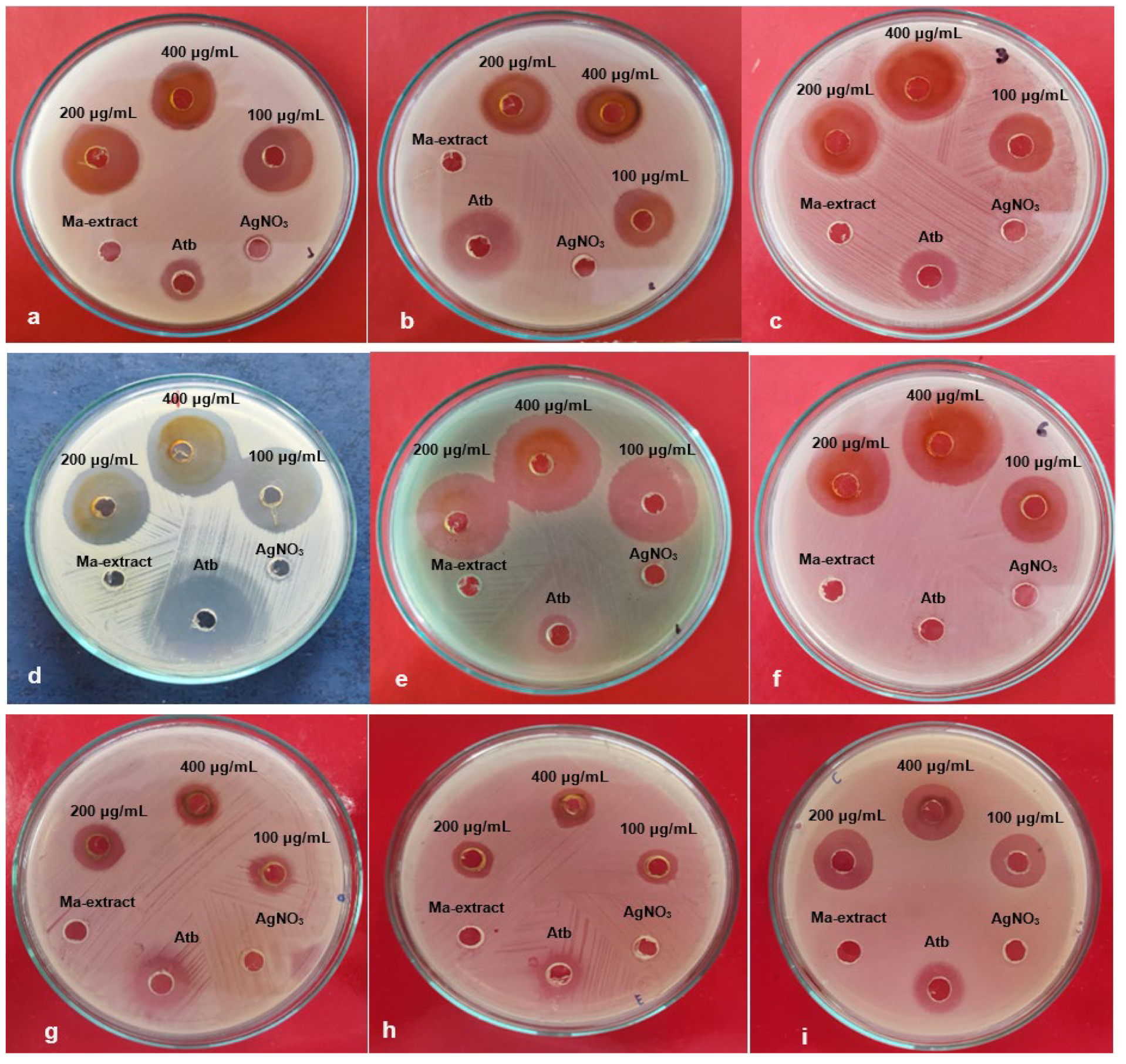 Pharmaceutics 16 01247 g007