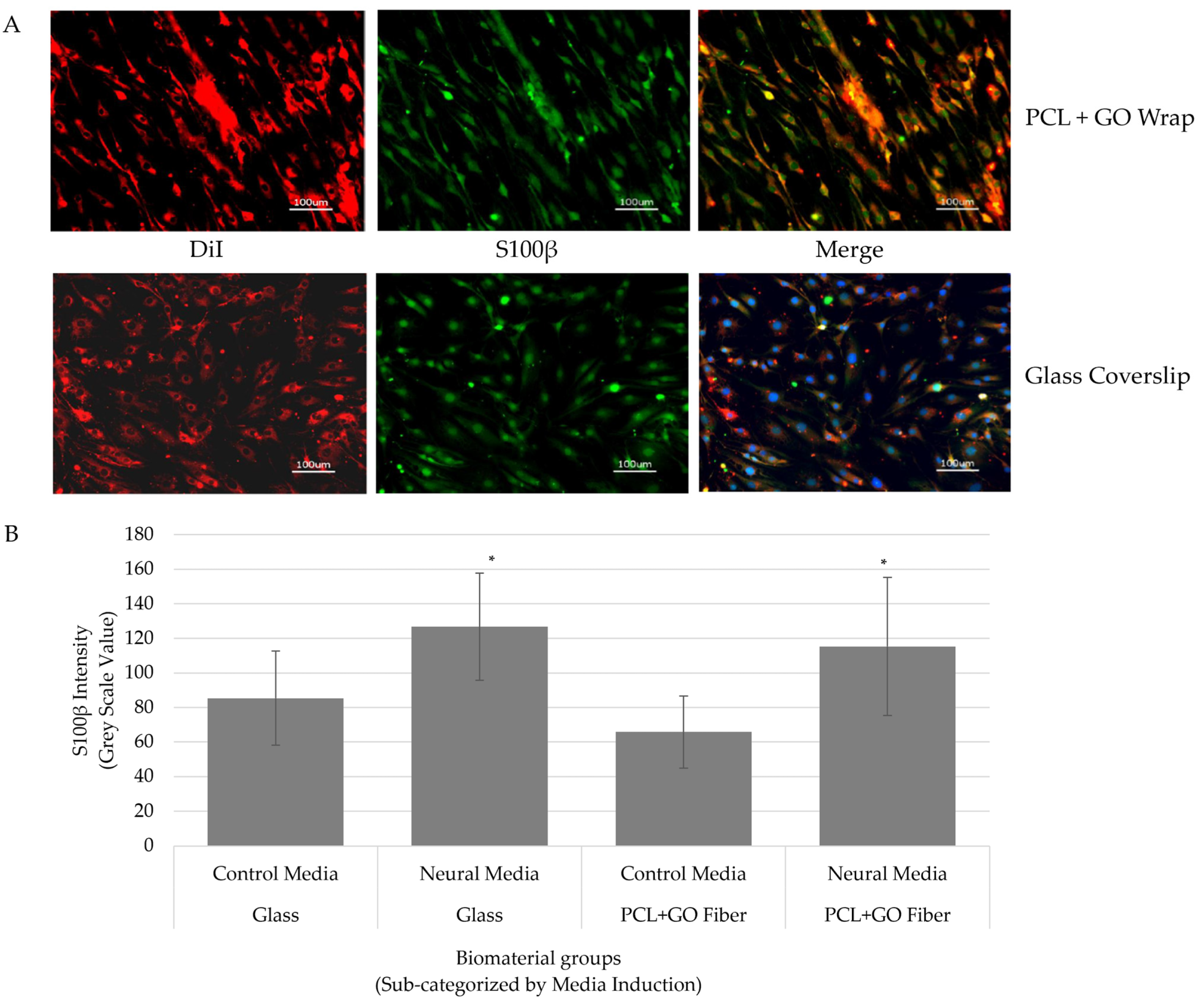 Pharmaceutics 16 01254 g001