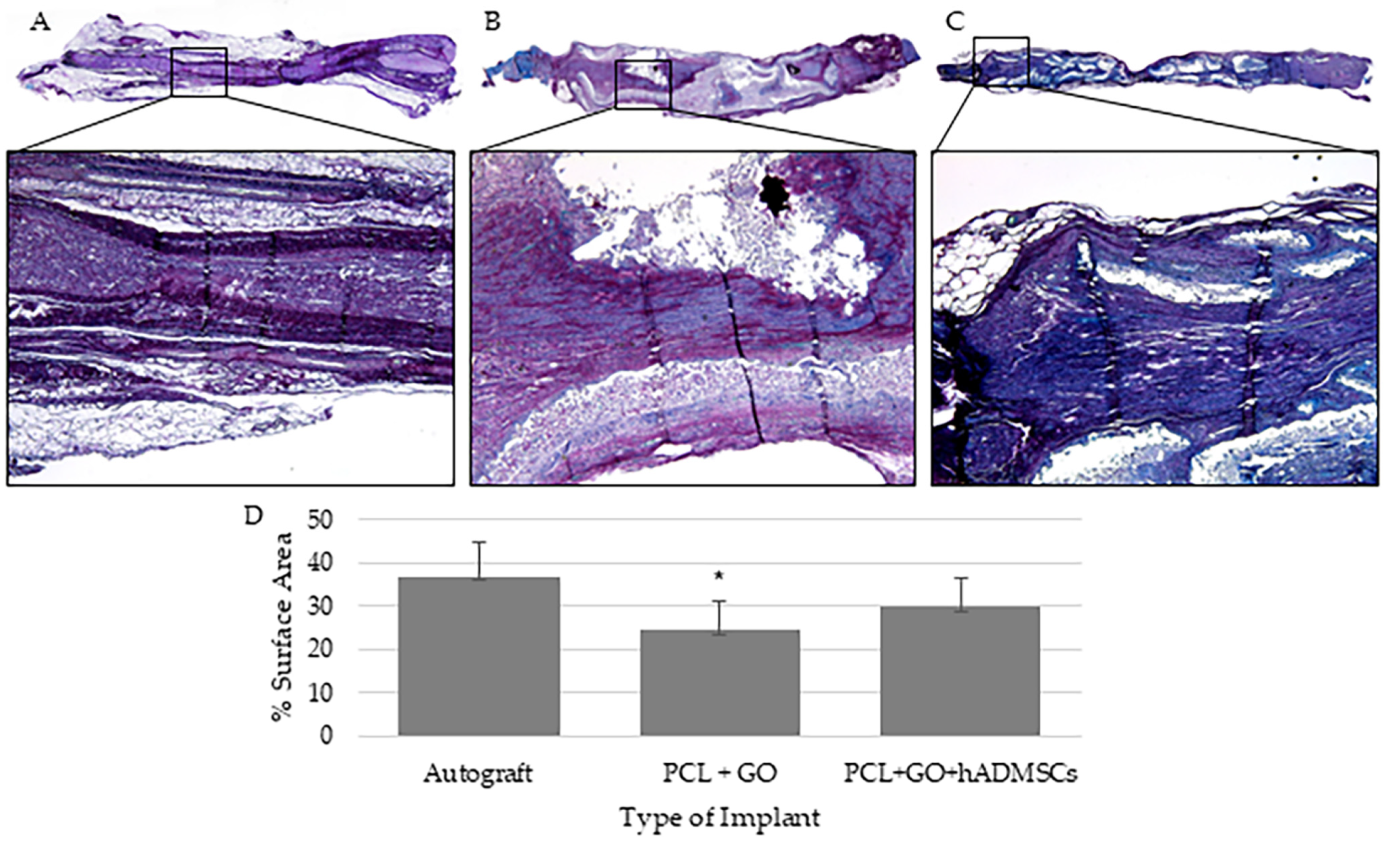 Pharmaceutics 16 01254 g003