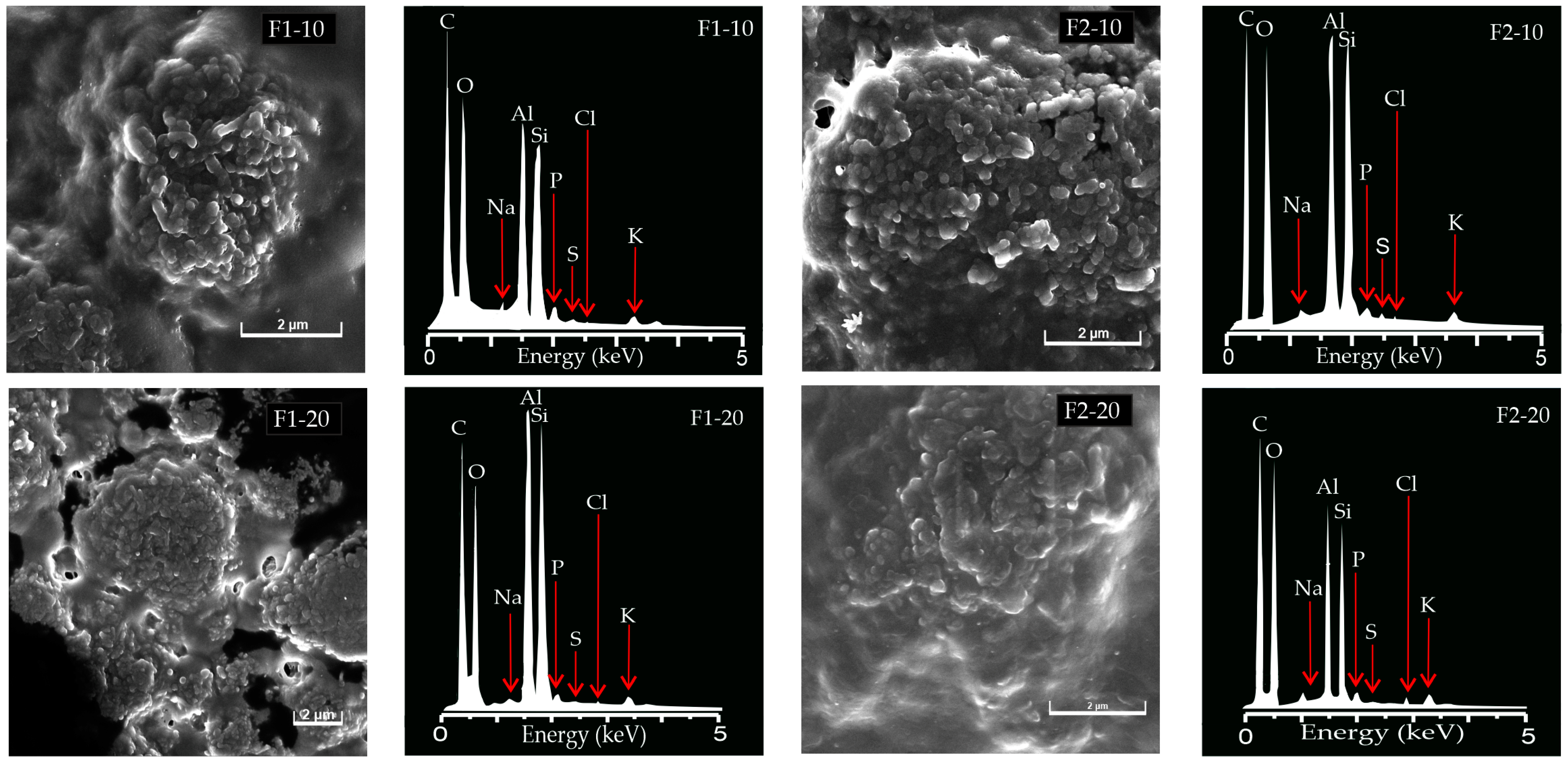 Pharmaceutics 16 01258 g001