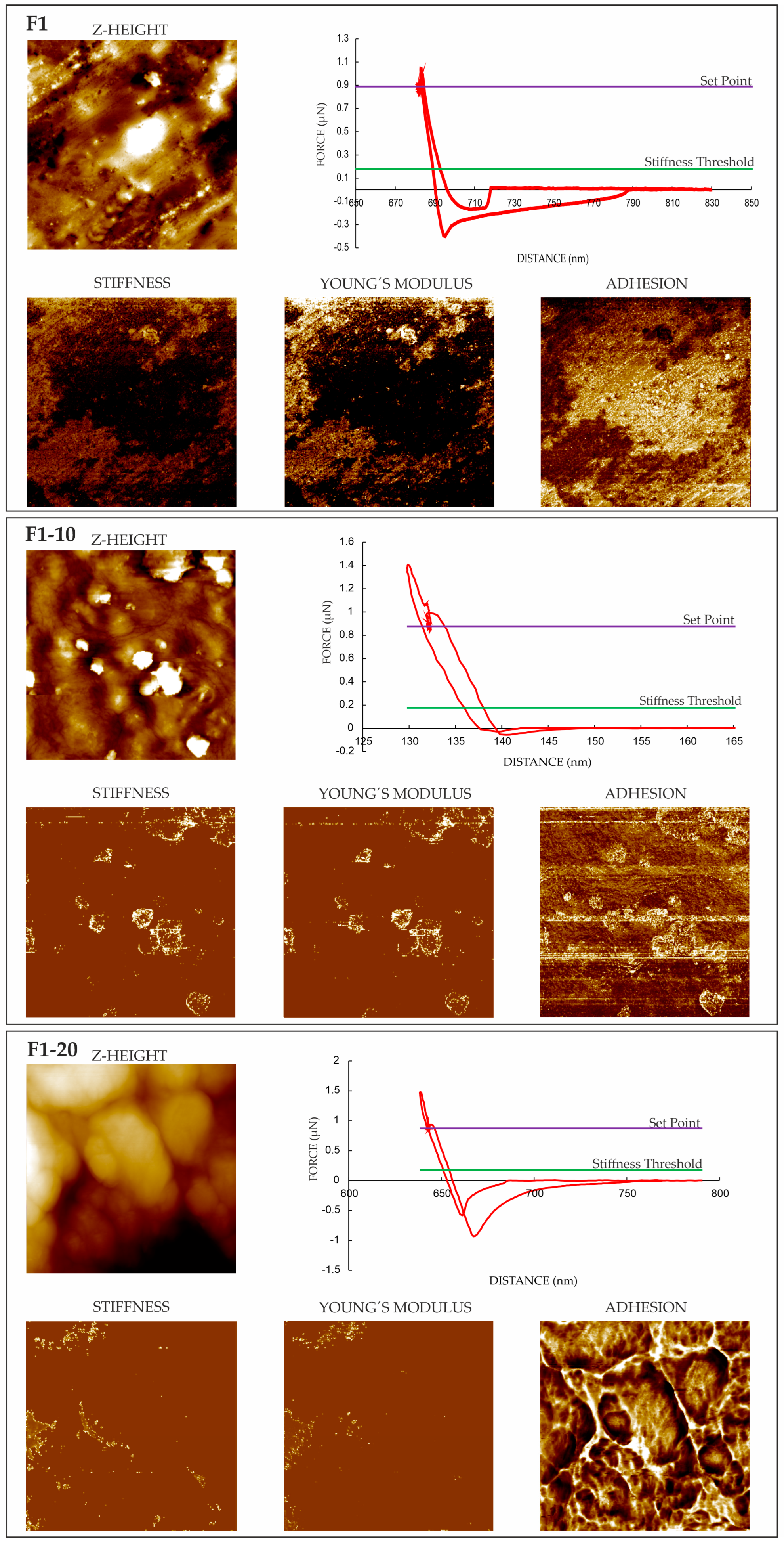 Pharmaceutics 16 01258 g004