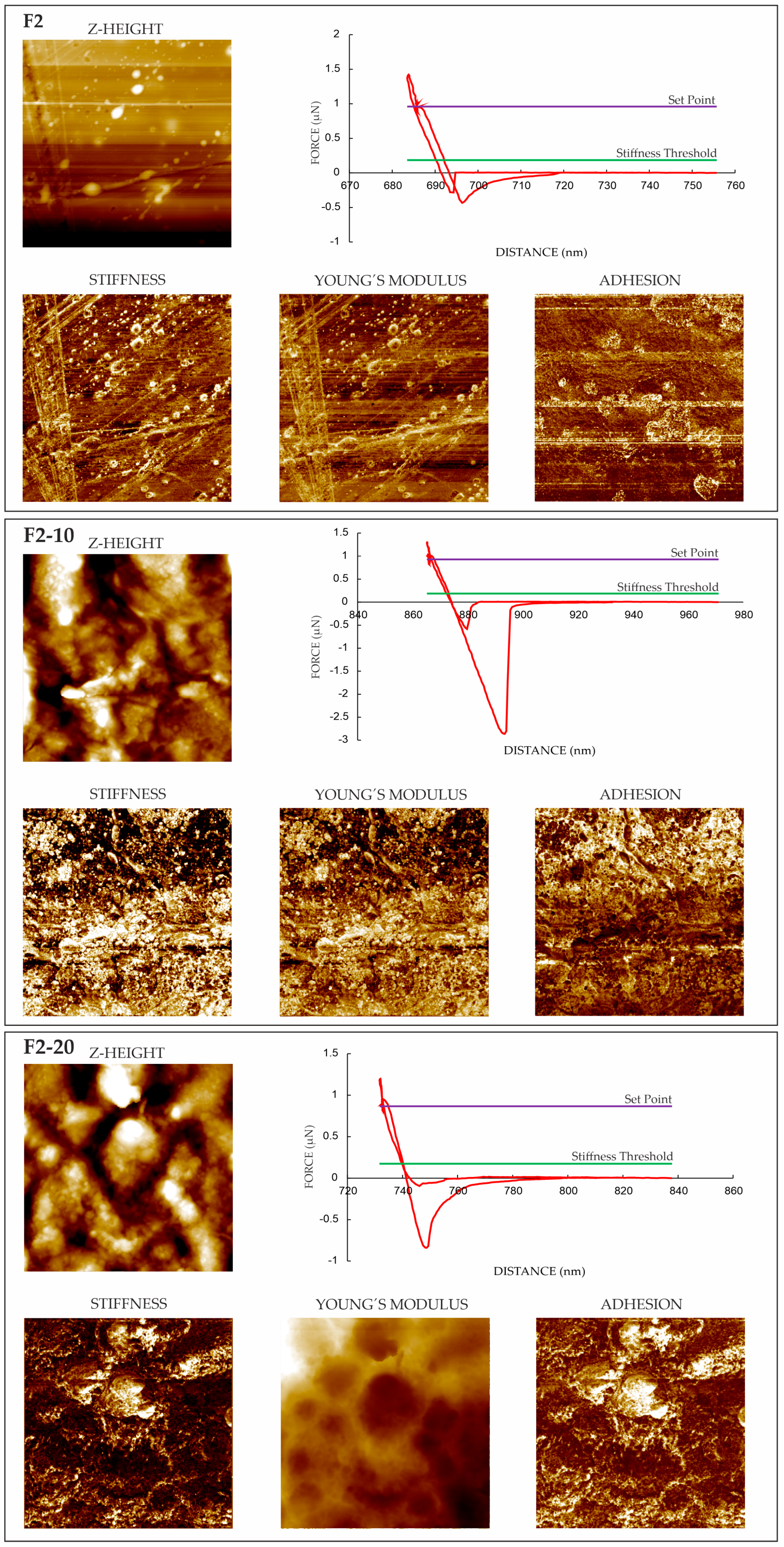 Pharmaceutics 16 01258 g005