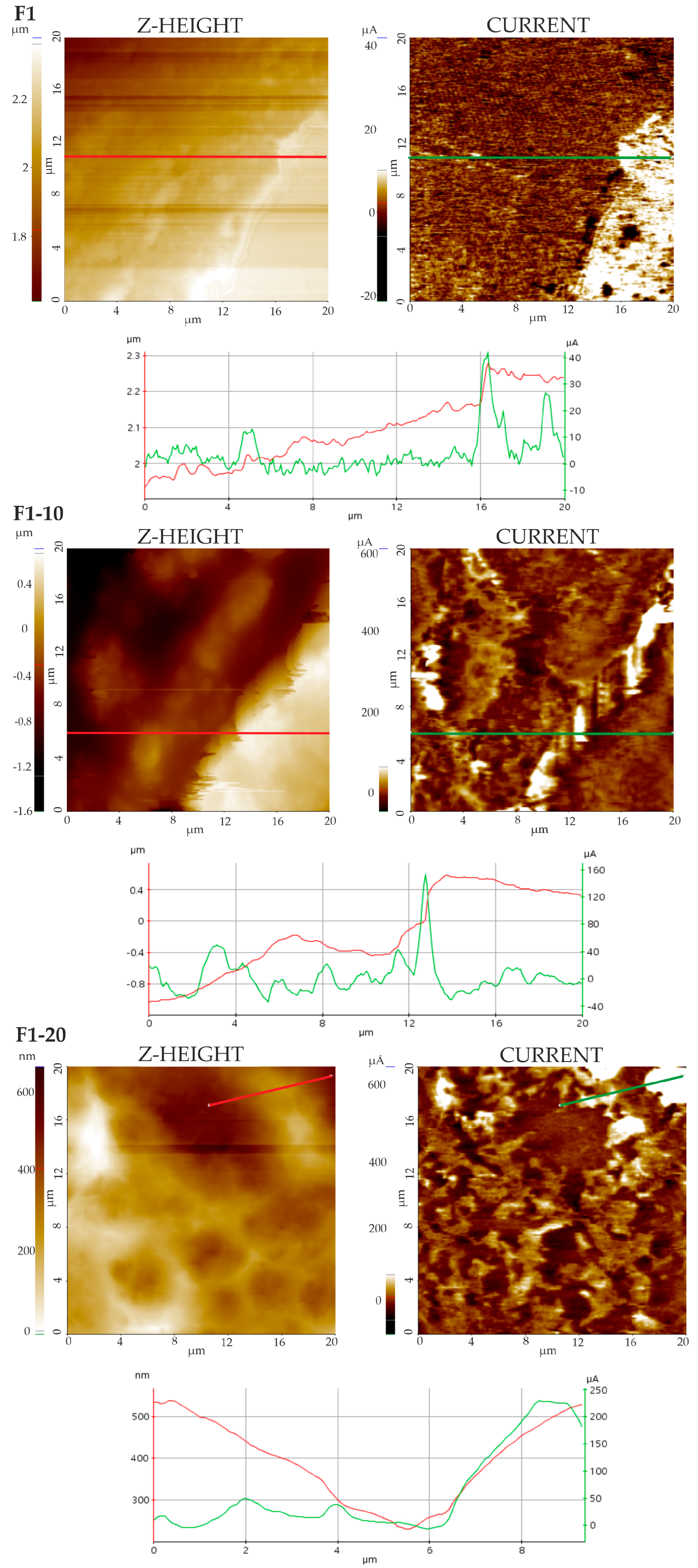 Pharmaceutics 16 01258 g006