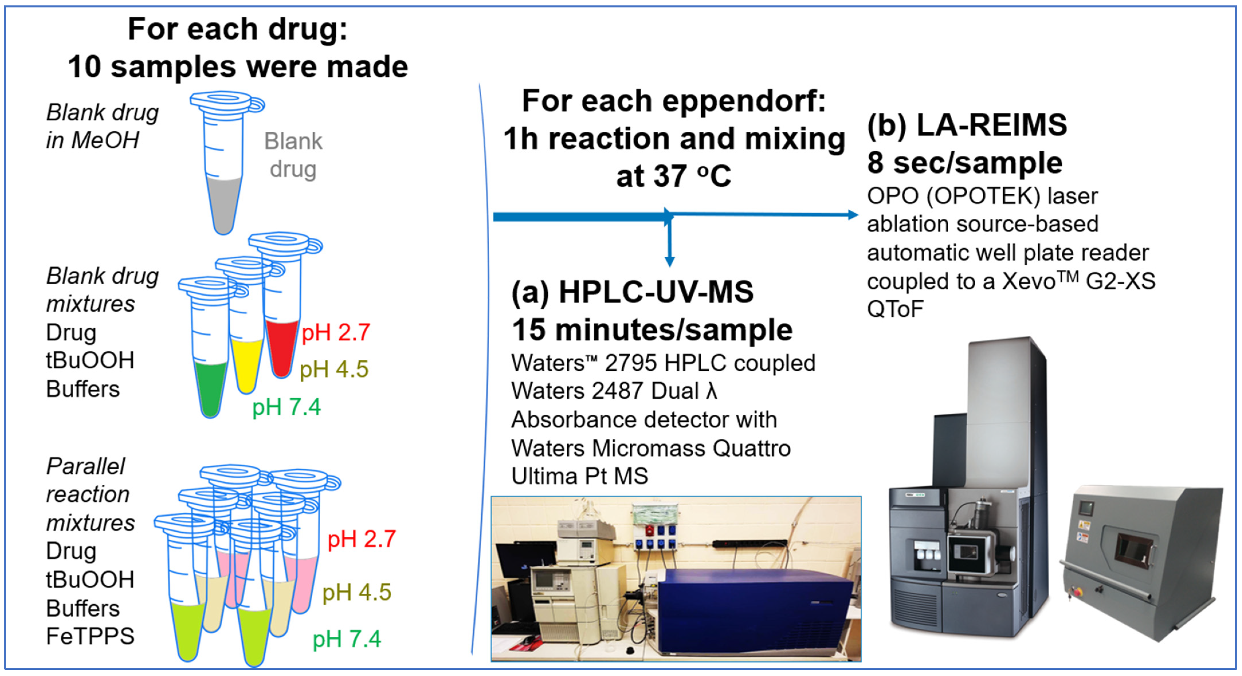 Pharmaceutics 16 01266 g001