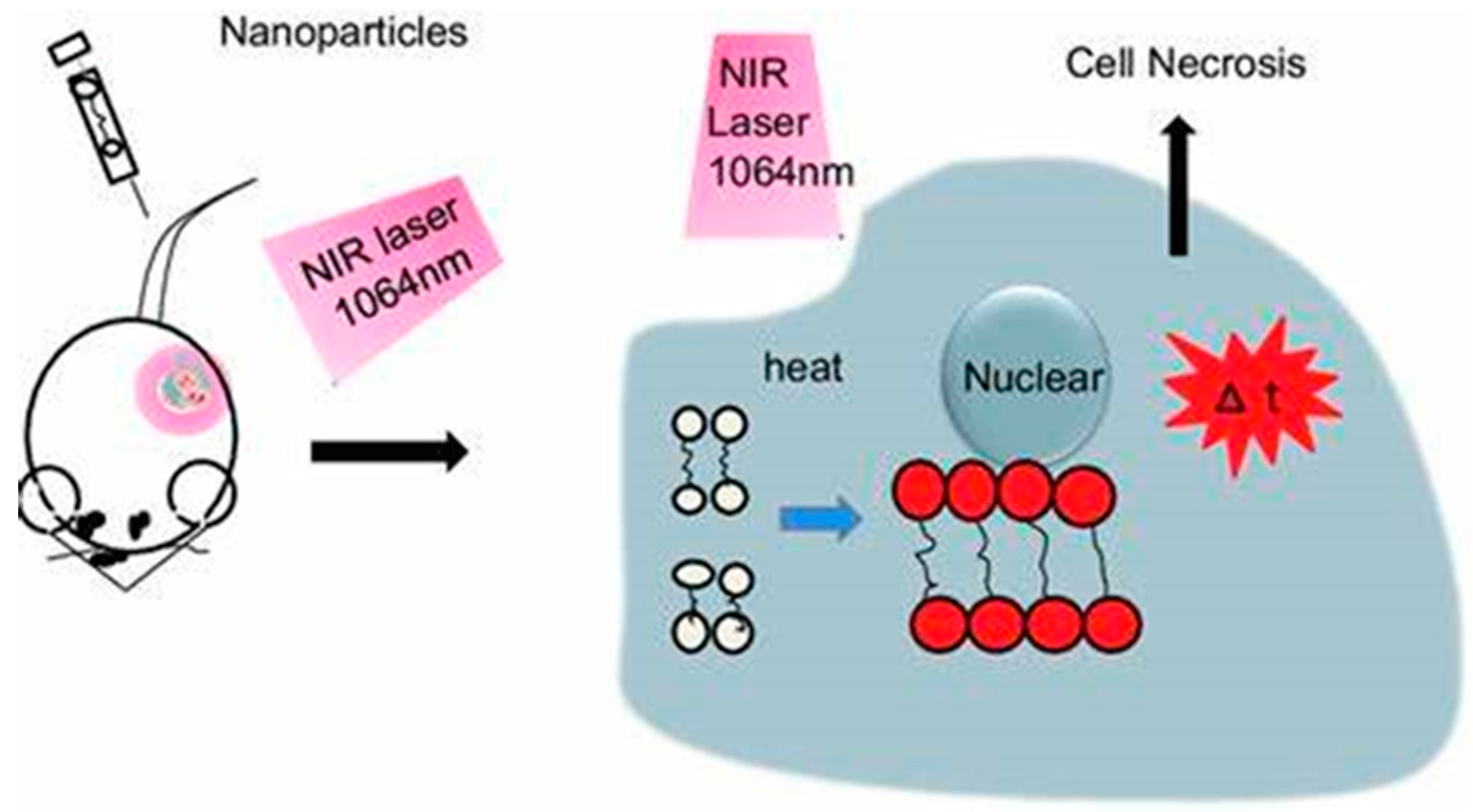 Pharmaceutics 16 01268 g004
