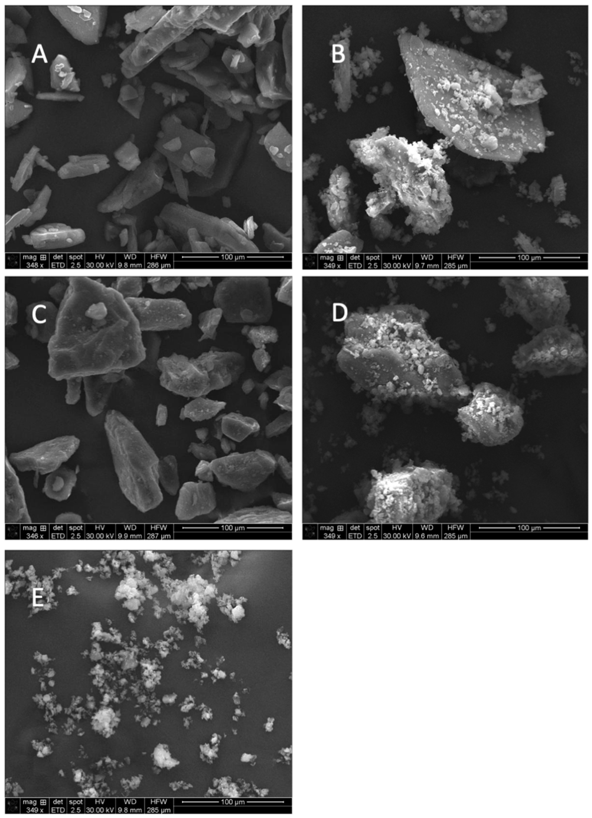 Pharmaceutics 16 01269 g002