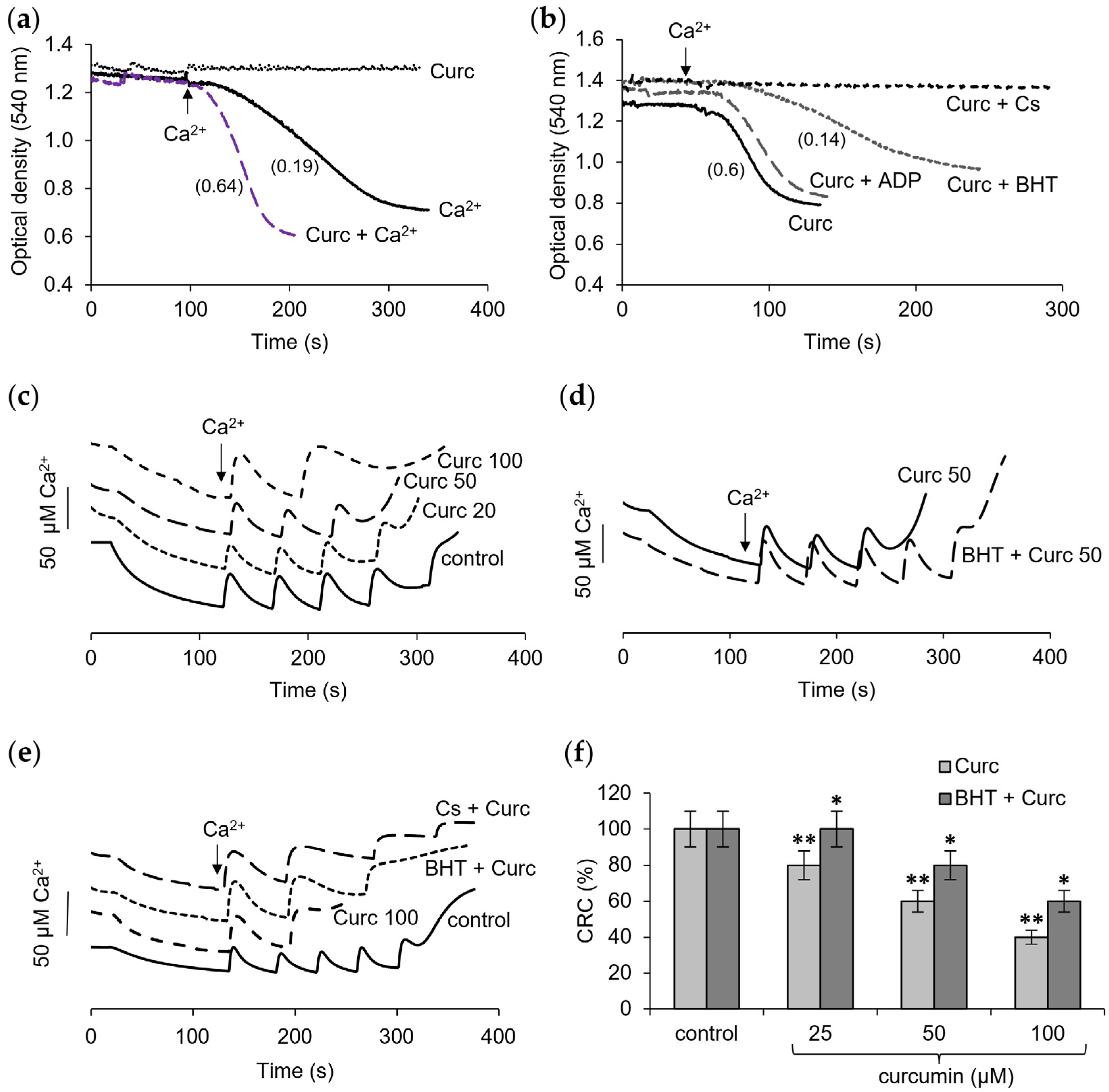 Pharmaceutics 16 01272 g001