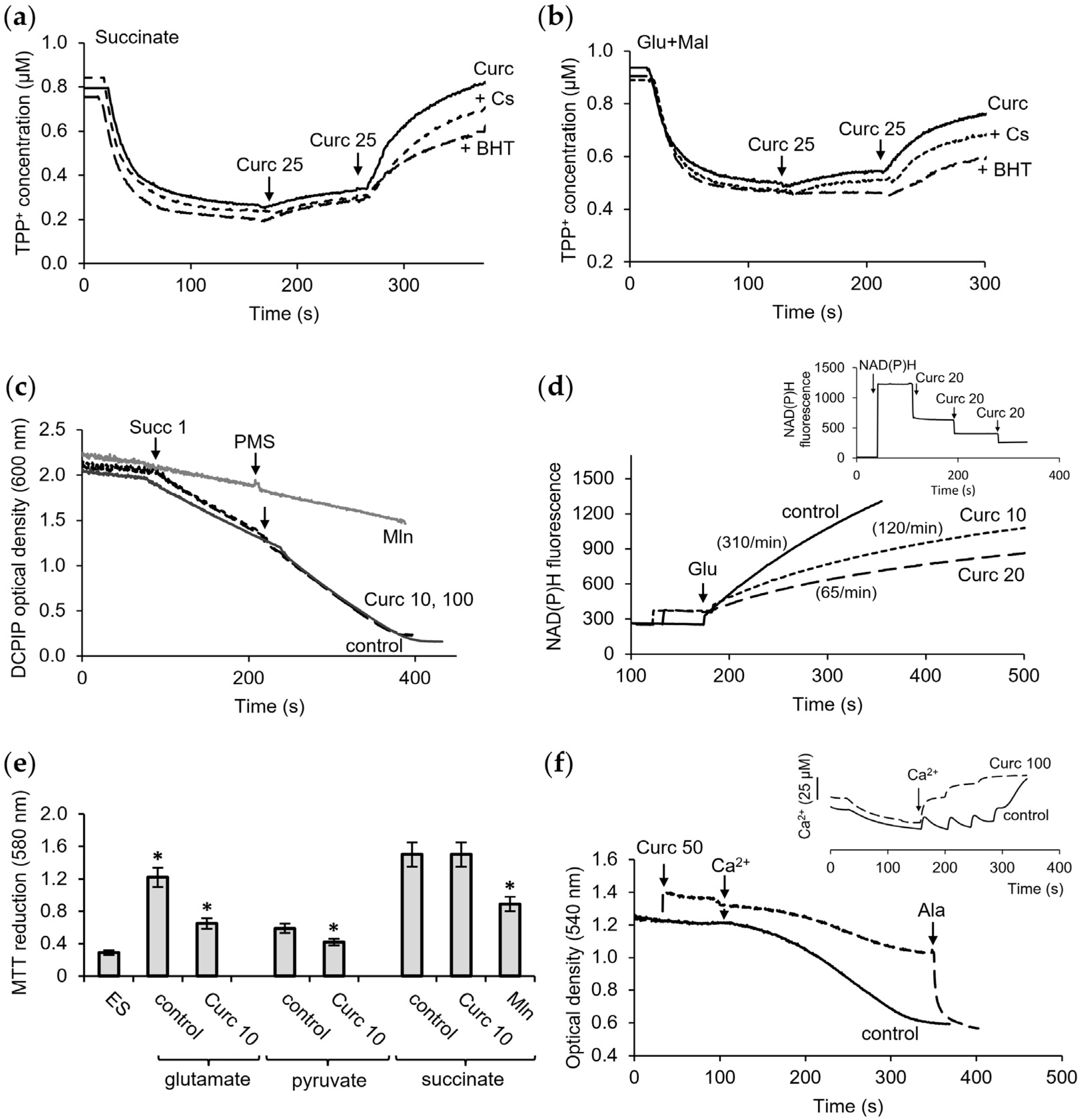 Pharmaceutics 16 01272 g002