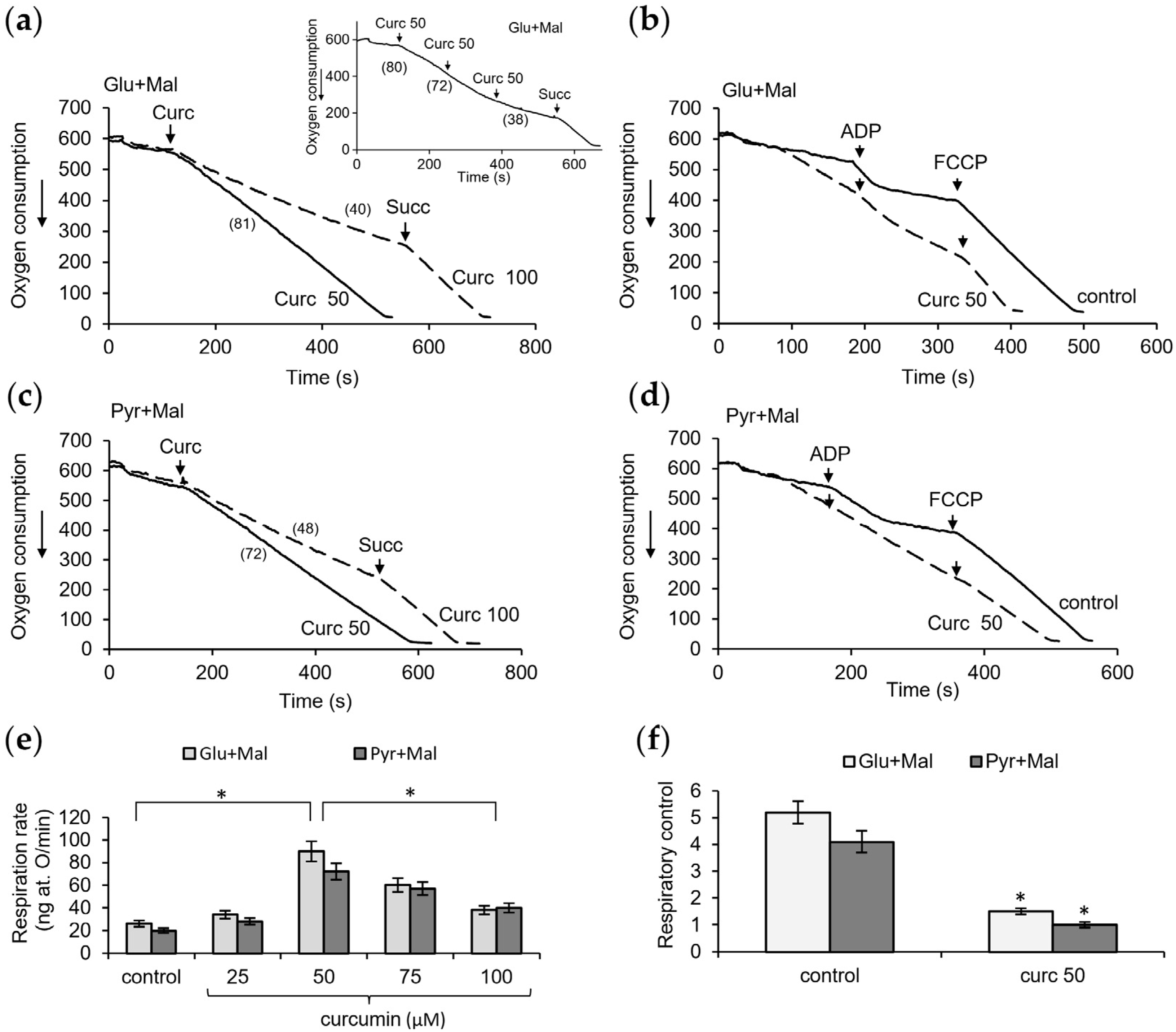 Pharmaceutics 16 01272 g004
