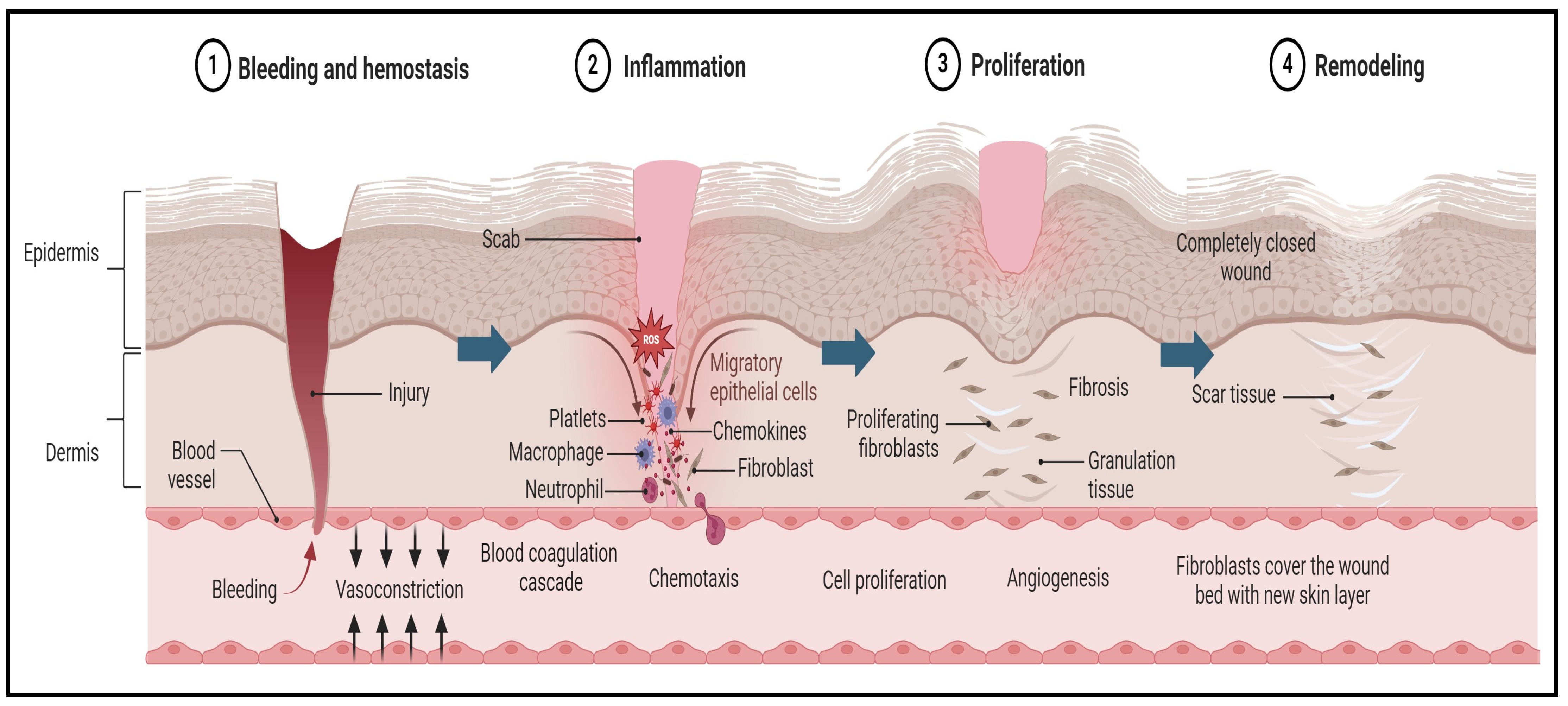 Pharmaceutics 16 01277 g001