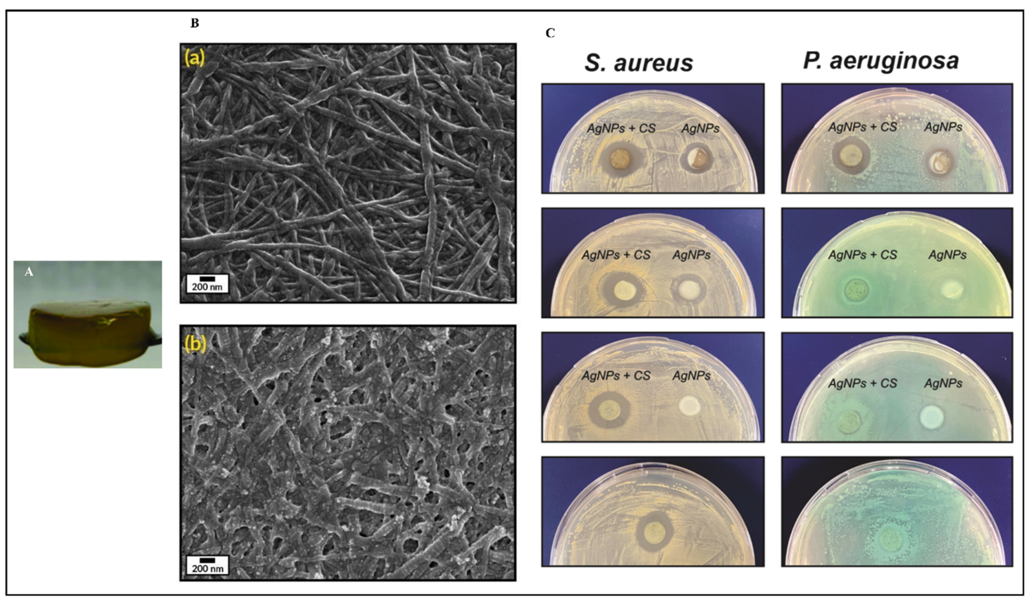 Pharmaceutics 16 01277 g003