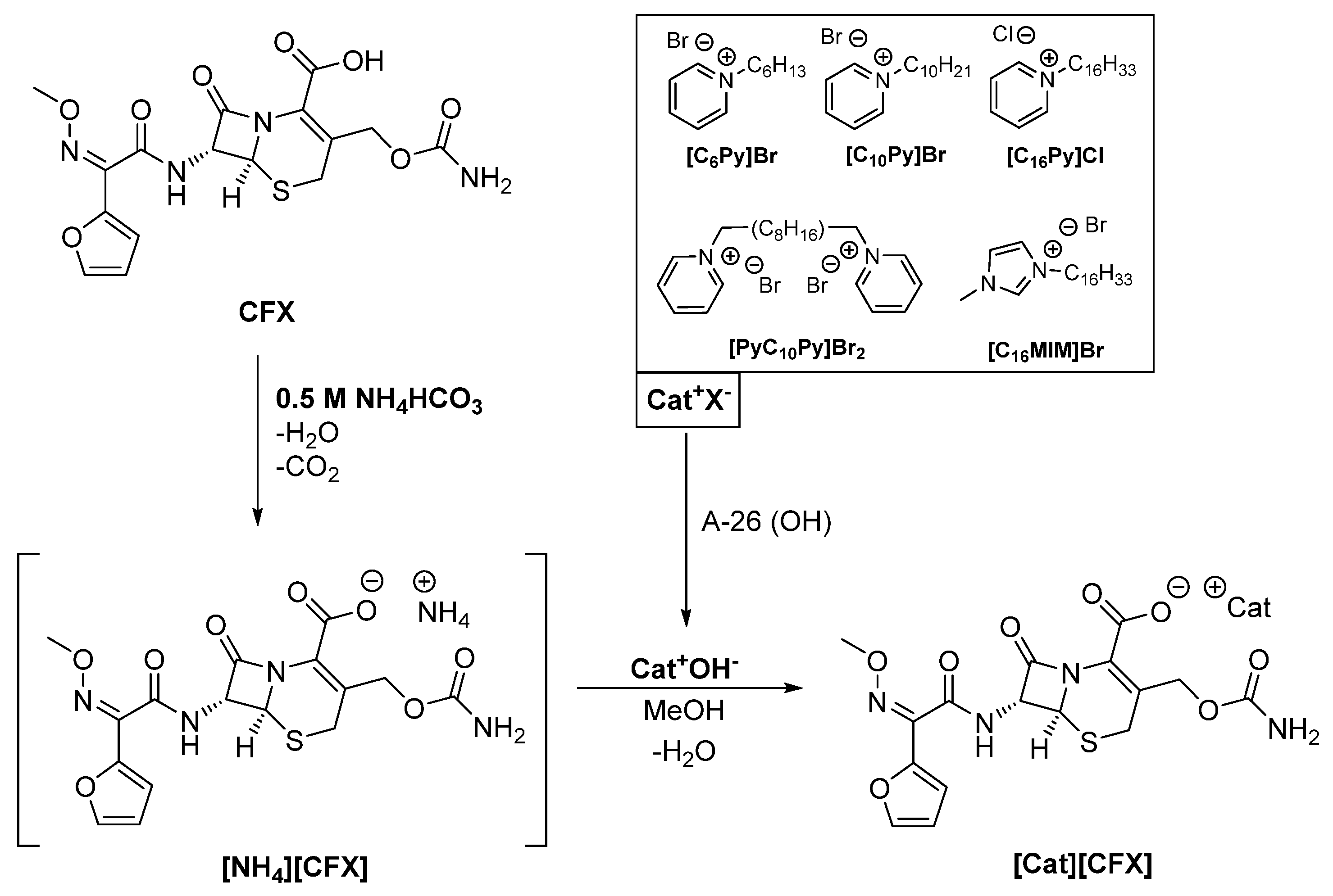 Pharmaceutics 16 01291 sch001