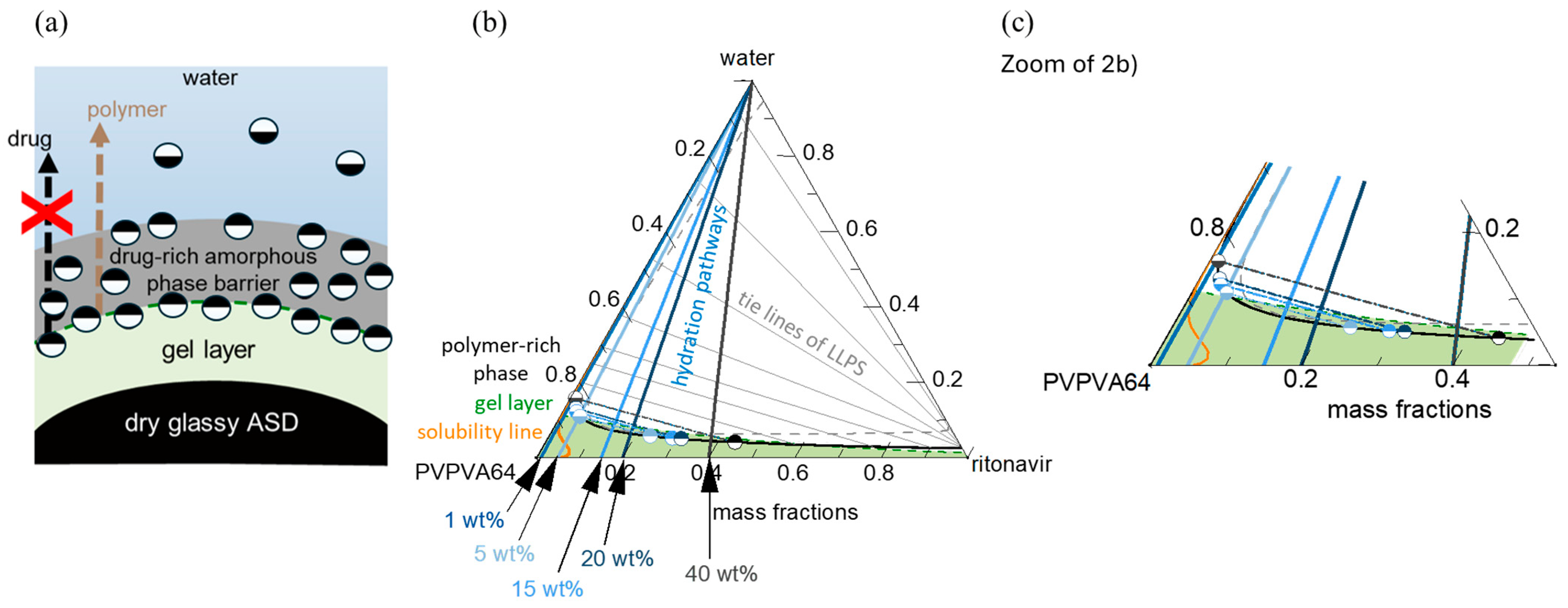 Pharmaceutics 16 01292 g002
