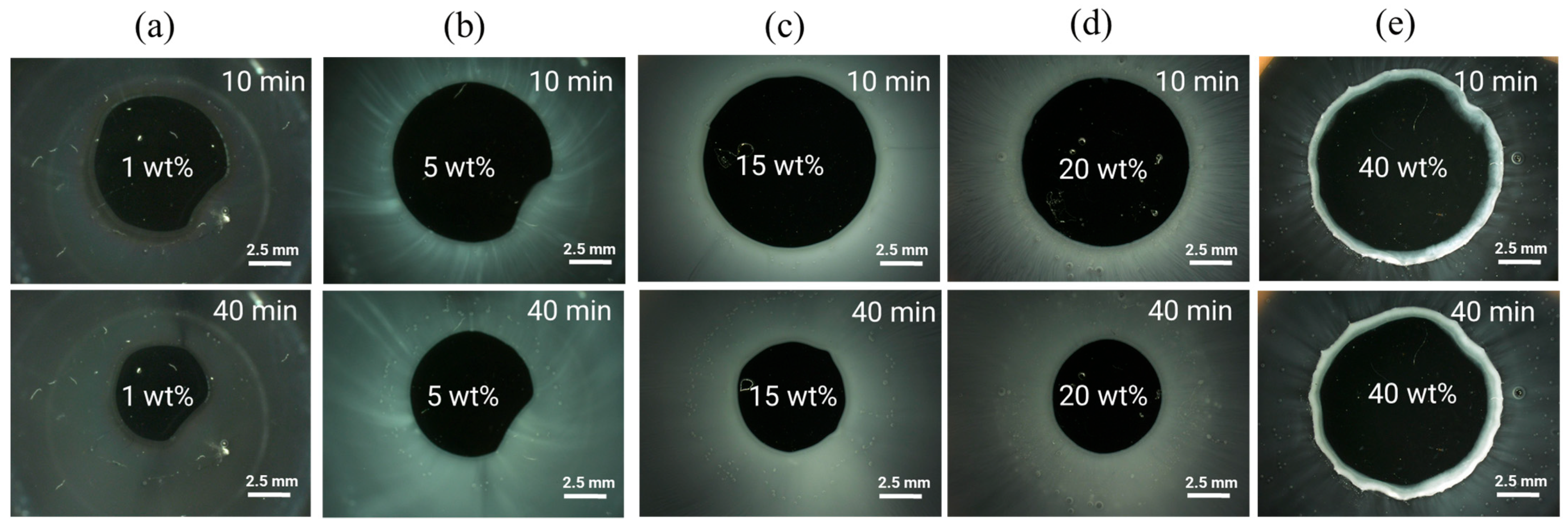Pharmaceutics 16 01292 g003