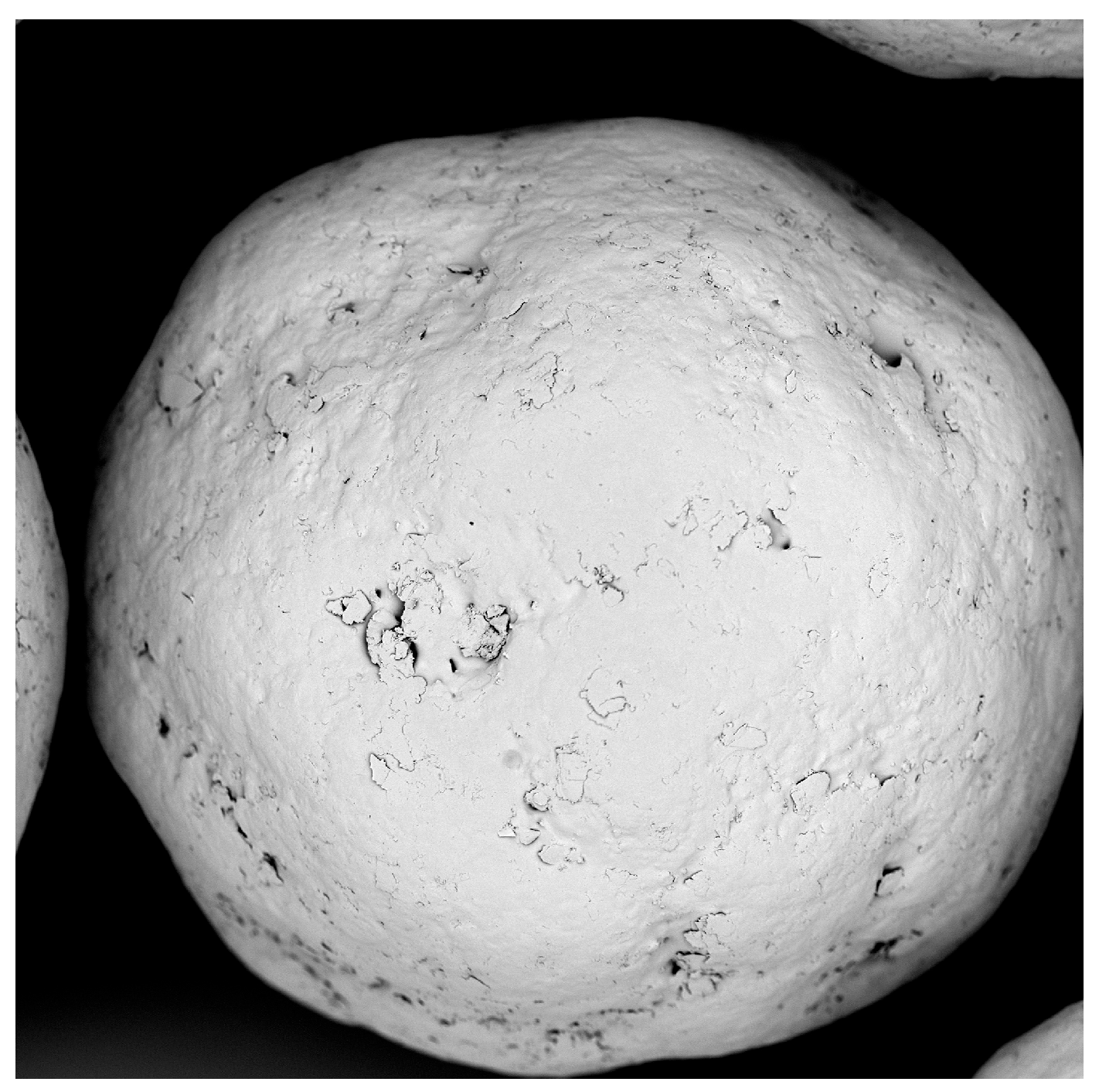 Pharmaceutics 16 01307 g001