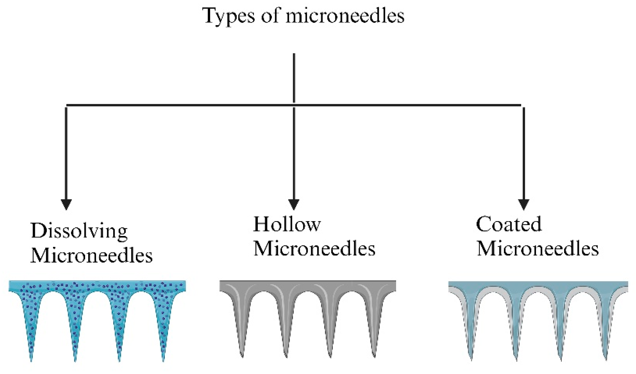 Pharmaceutics 16 01325 g004