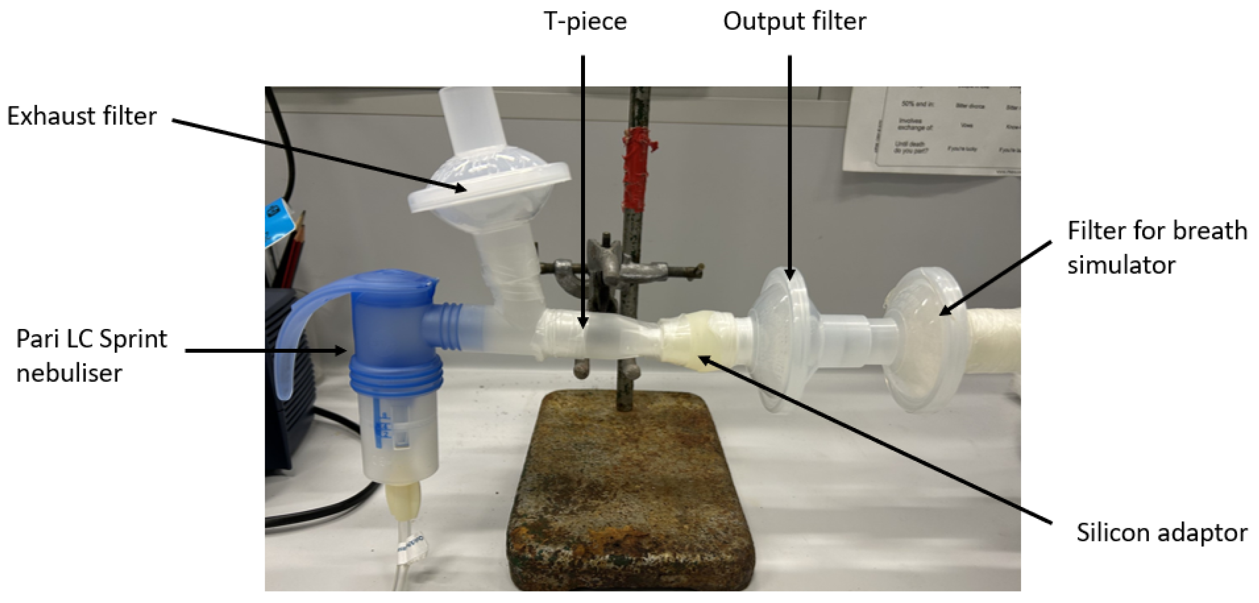 Pharmaceutics 16 01326 g001