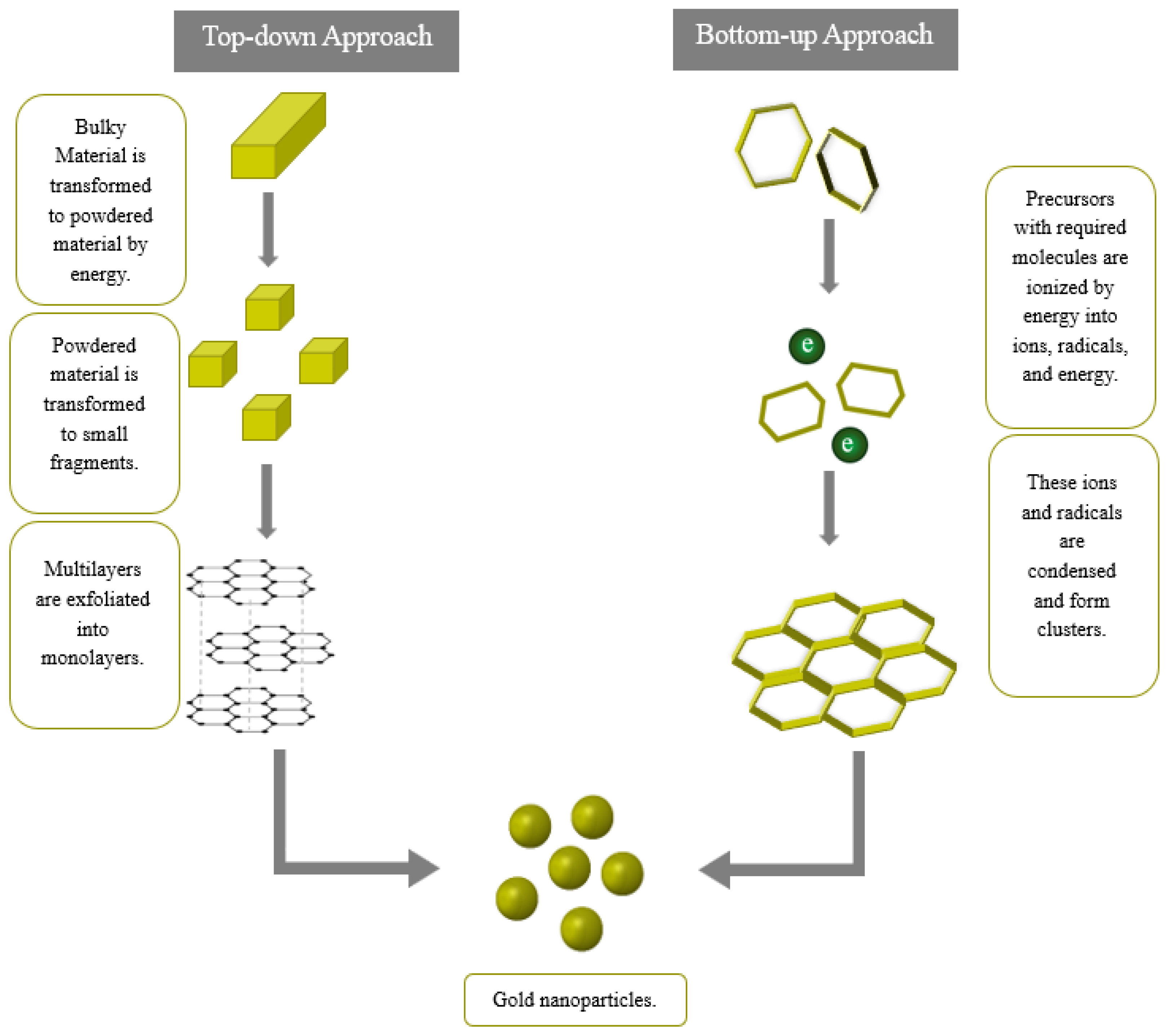 Pharmaceutics 16 01332 g003 Pharmaceutics 16 01332 g003
