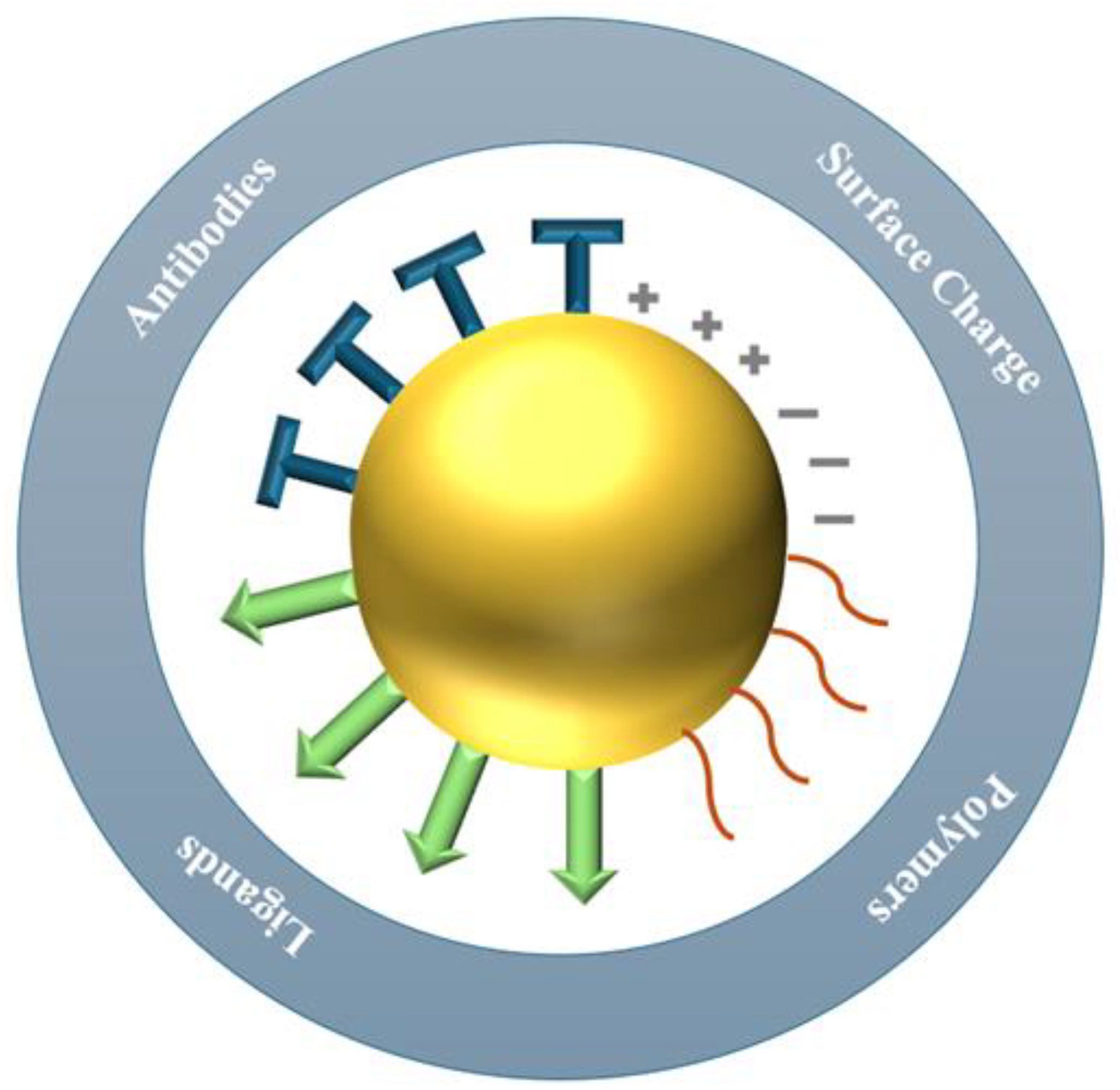 Pharmaceutics 16 01332 g005 Pharmaceutics 16 01332 g005