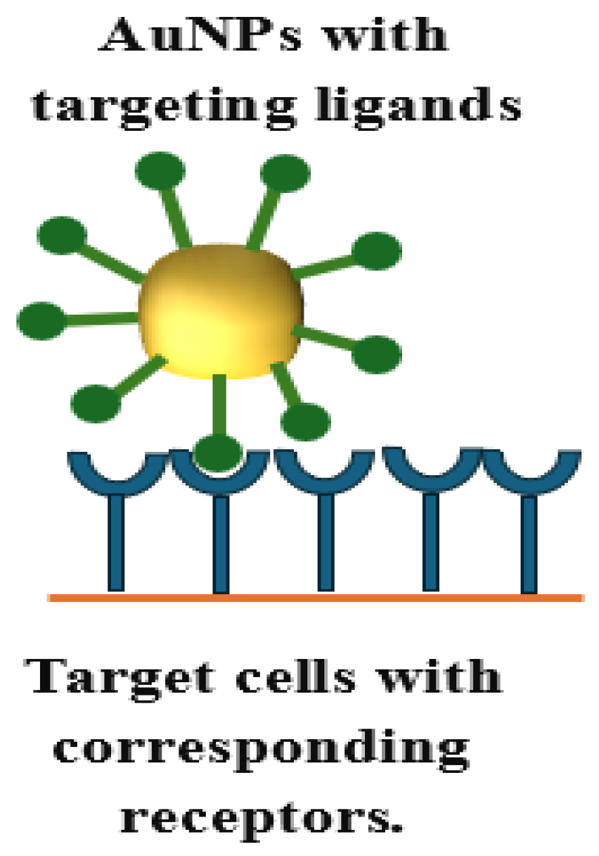 Pharmaceutics 16 01332 g007 Pharmaceutics 16 01332 g007