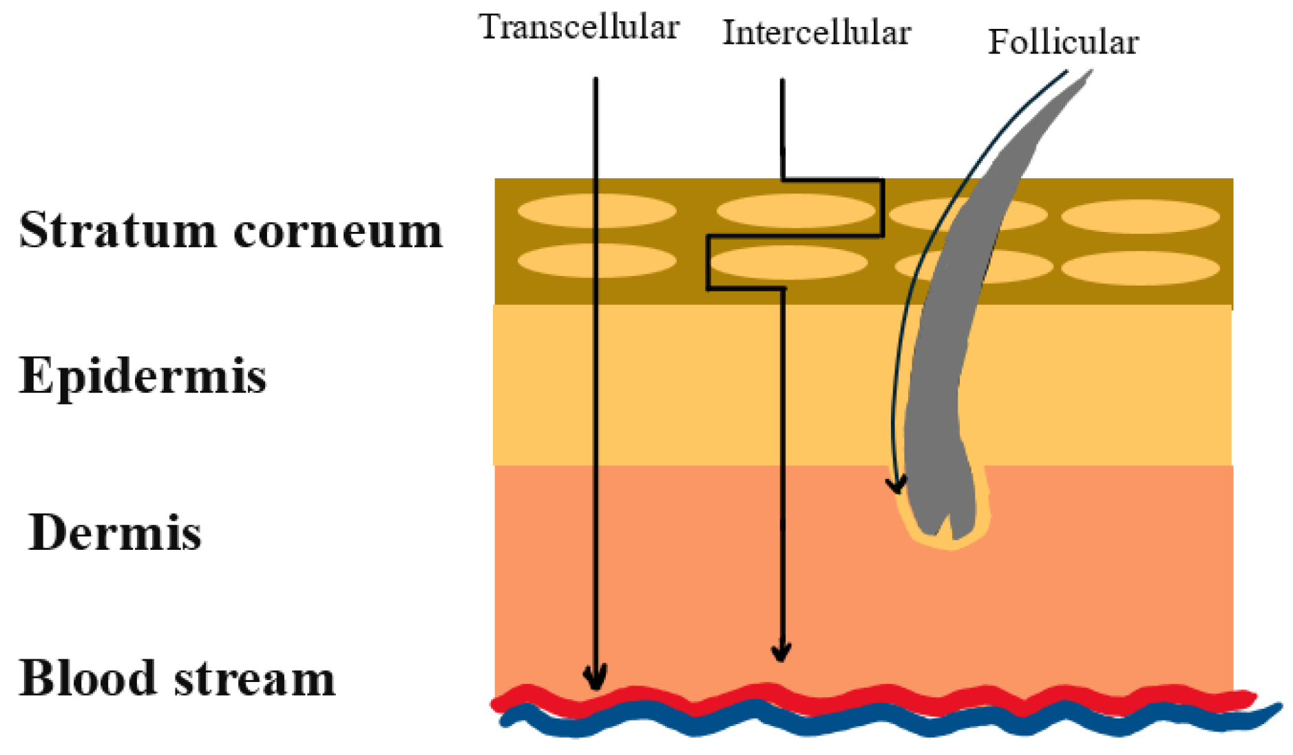 Pharmaceutics 16 01332 g008 Pharmaceutics 16 01332 g008