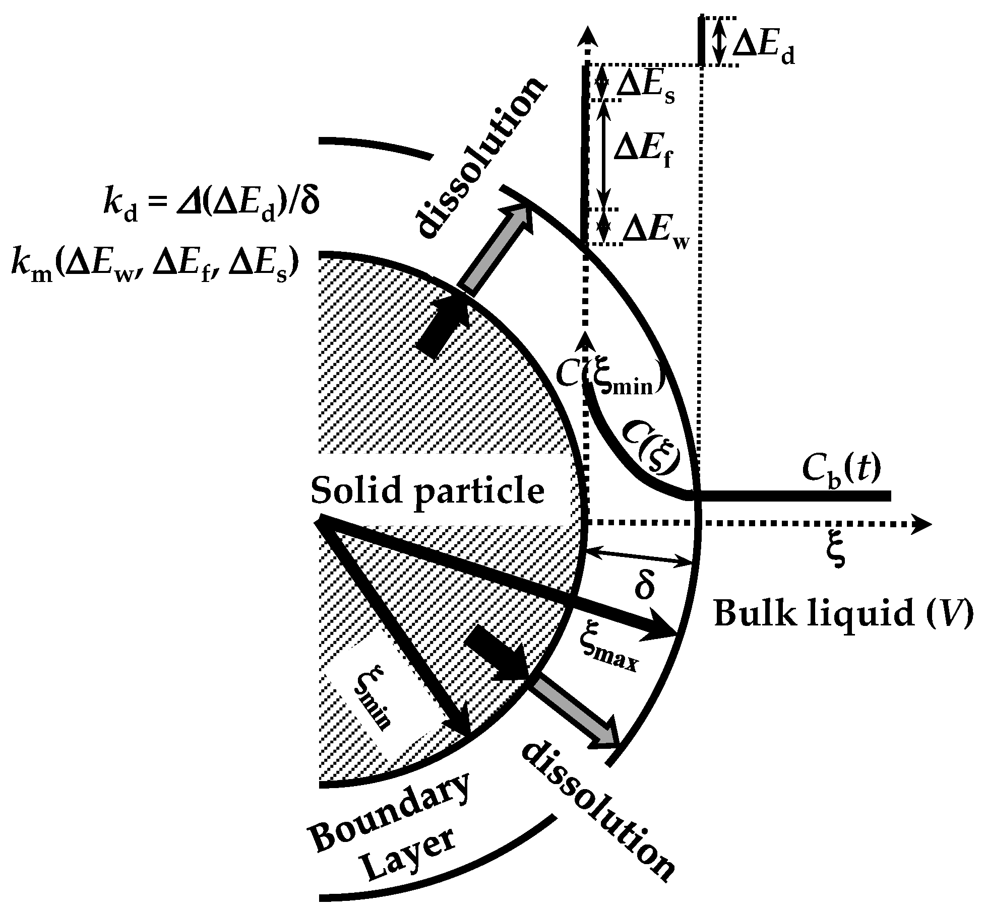 Pharmaceutics 16 01335 g002