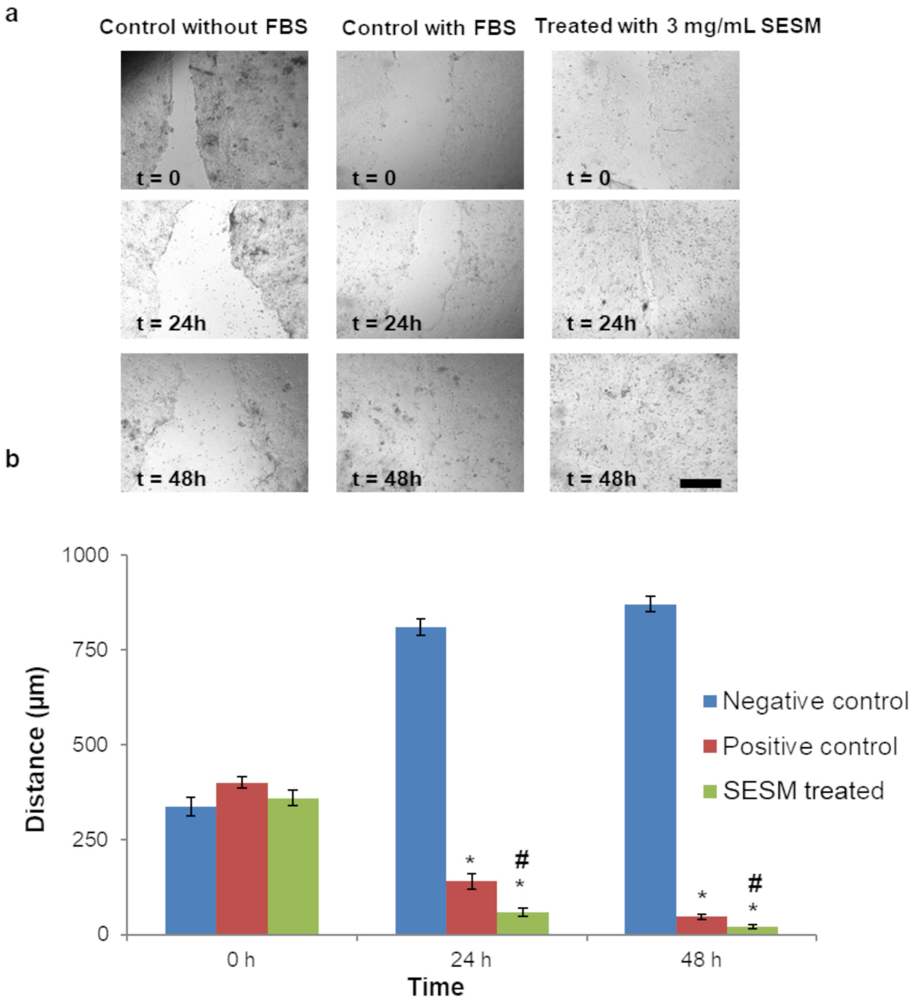 Pharmaceutics 16 01342 g002