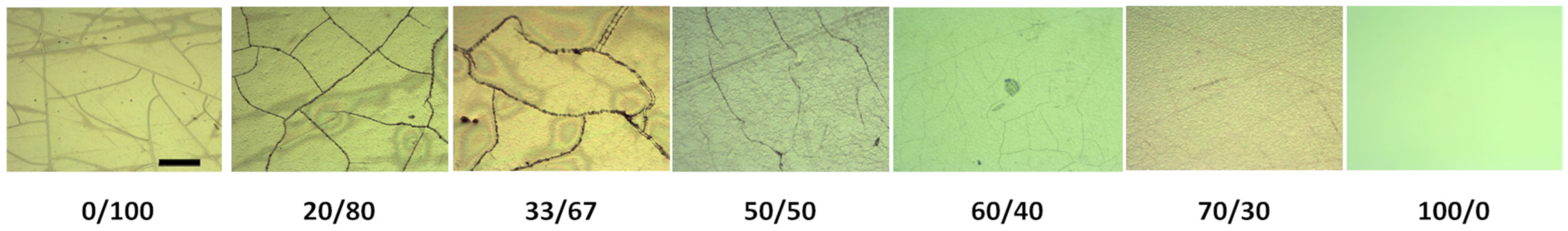 Pharmaceutics 16 01342 g003