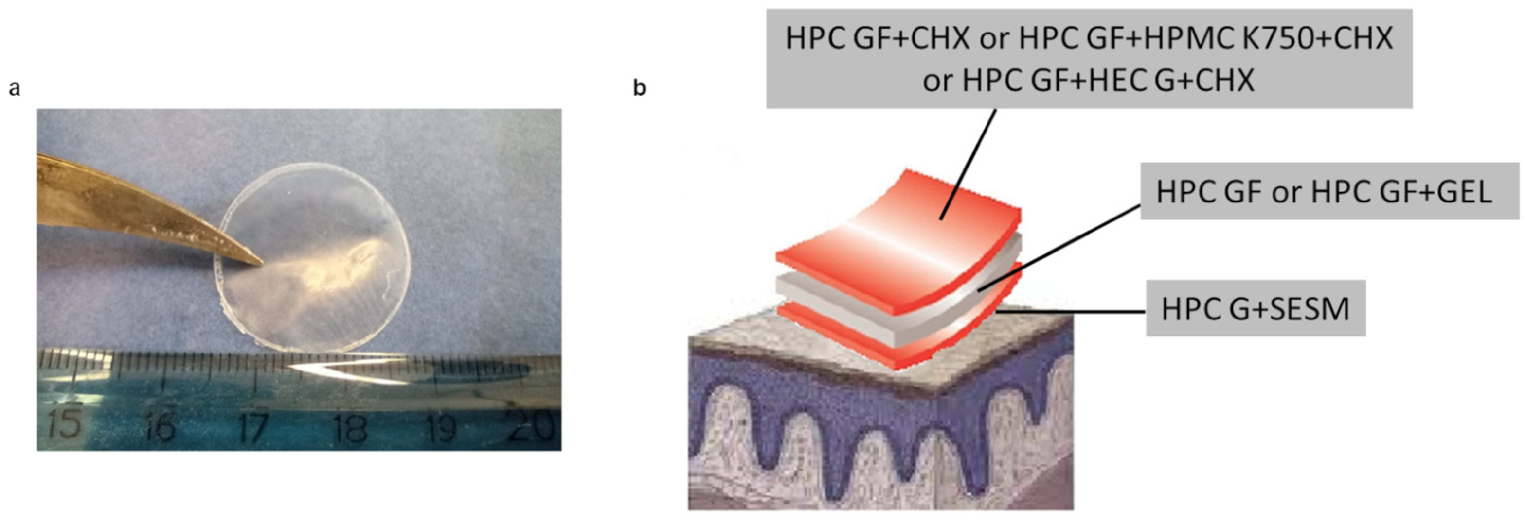 Pharmaceutics 16 01342 g008