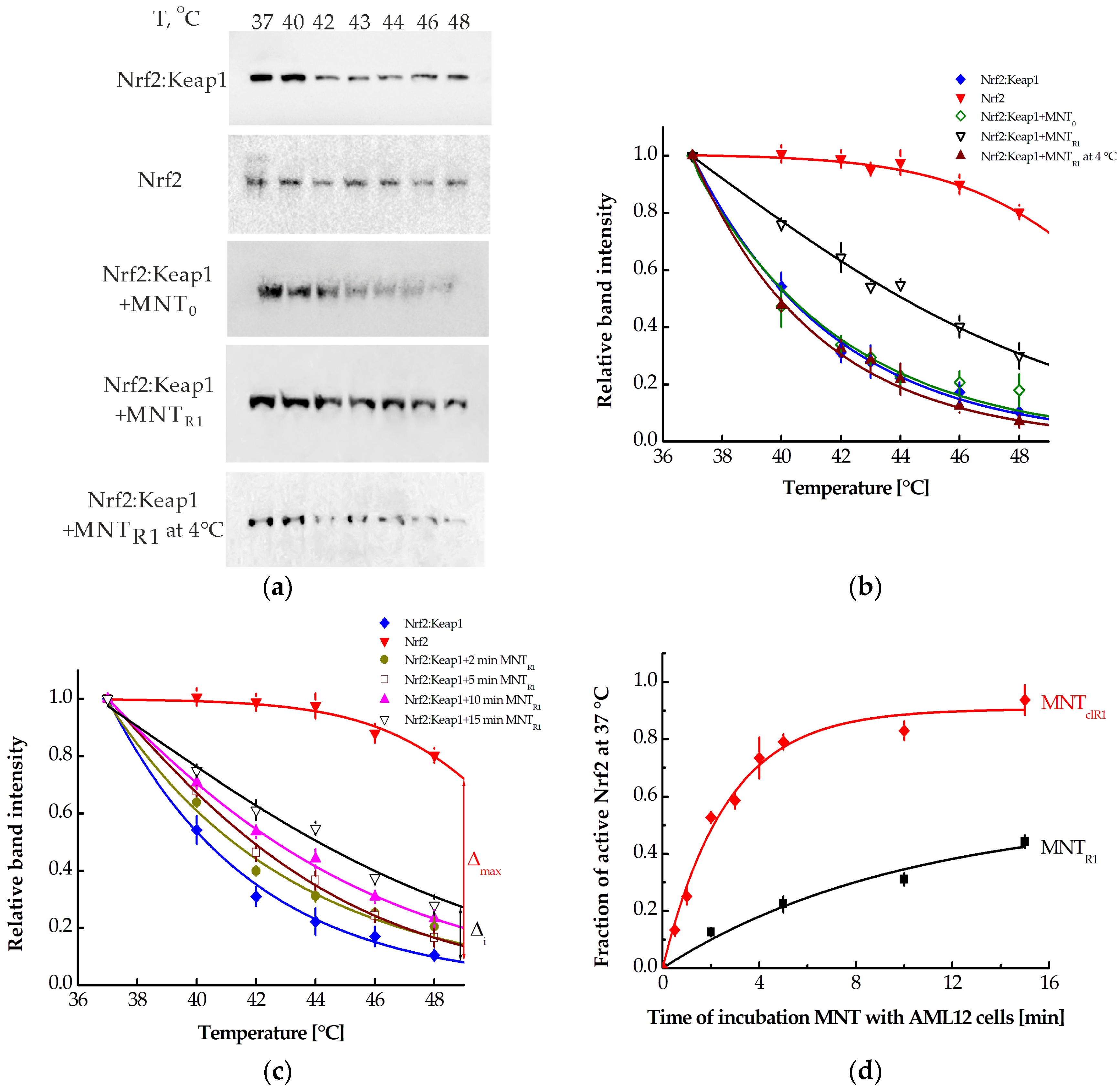 Pharmaceutics 16 01345 g004