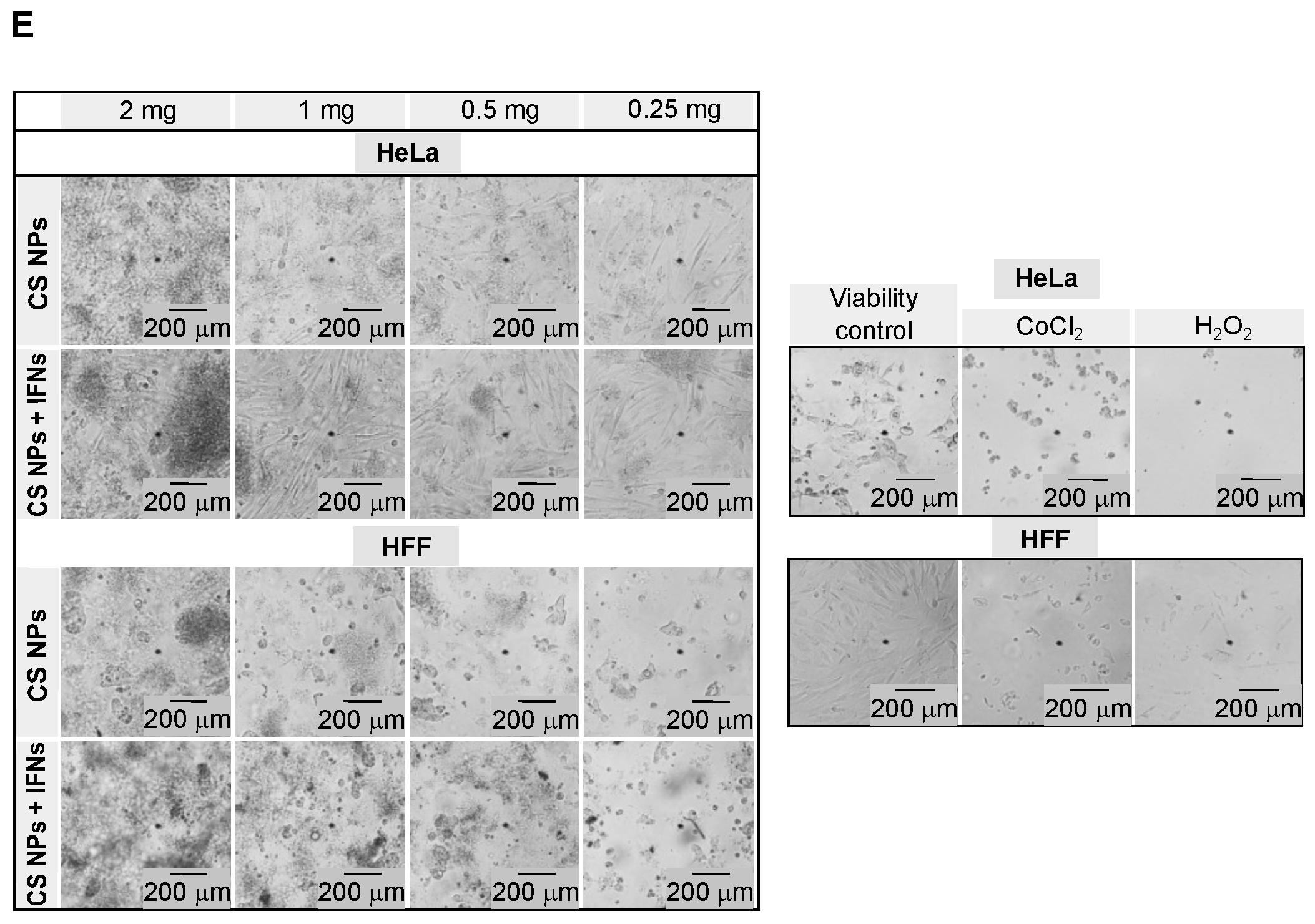 Pharmaceutics 16 01349 g003b