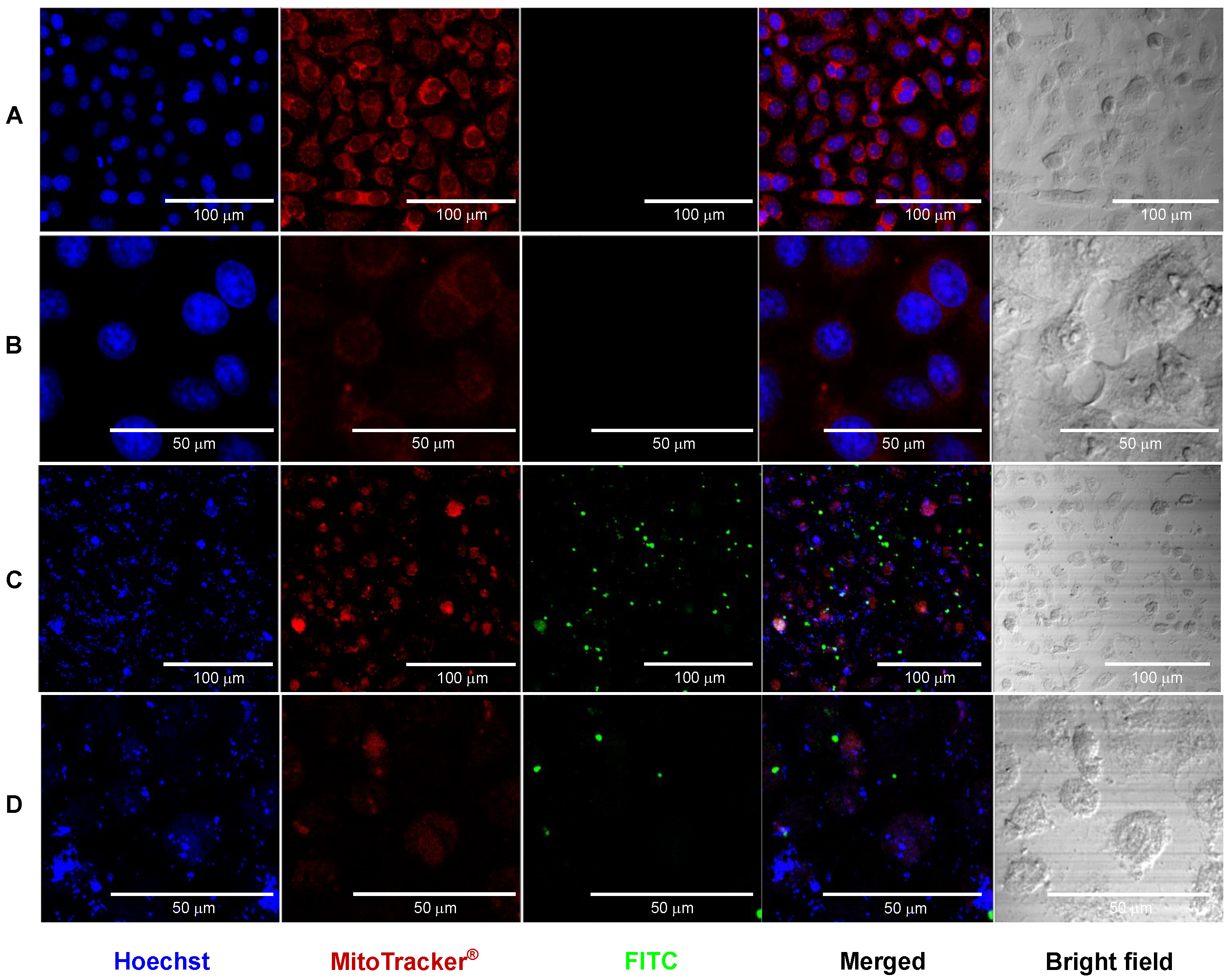 Pharmaceutics 16 01349 g005