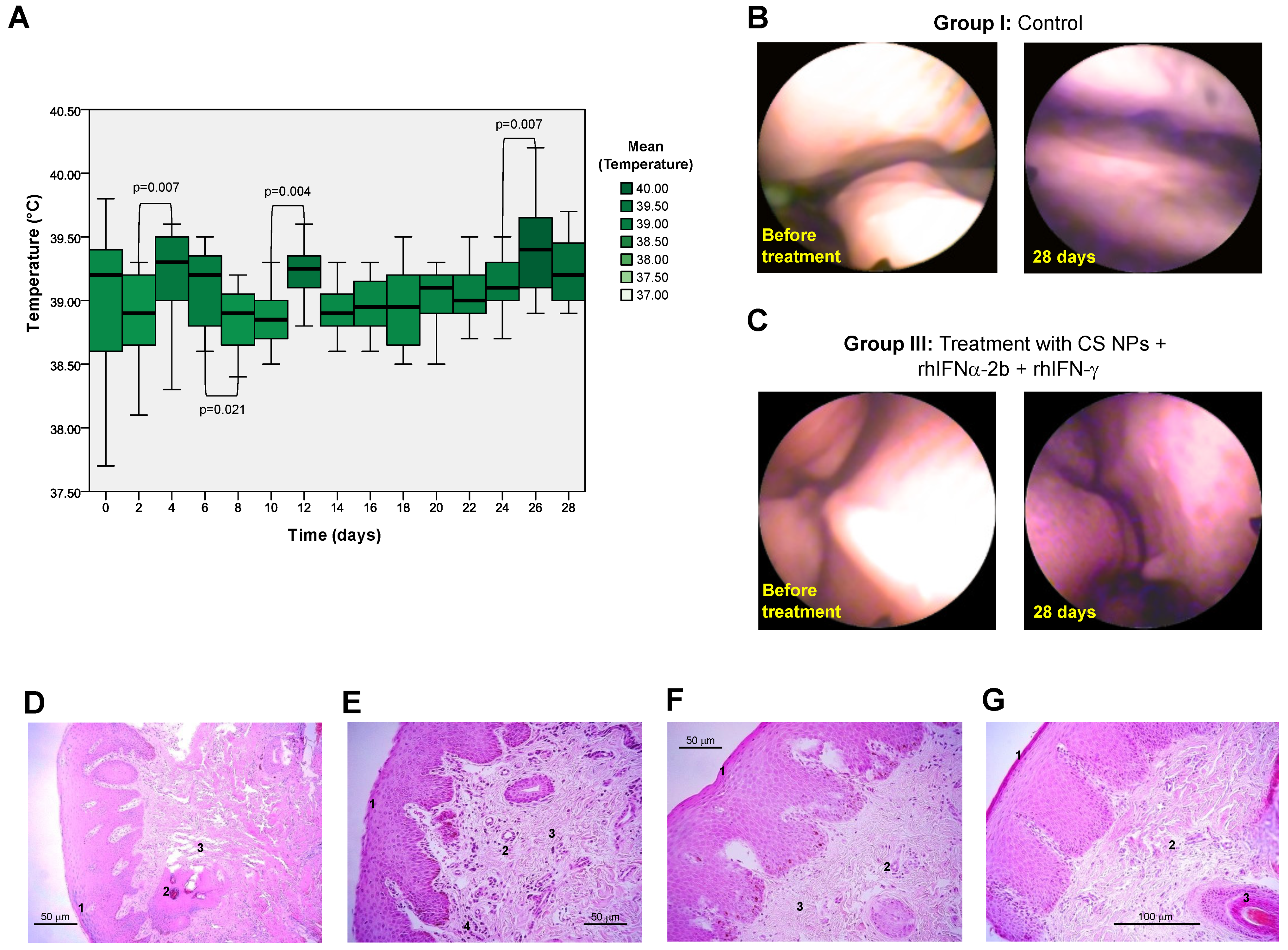 Pharmaceutics 16 01349 g008
