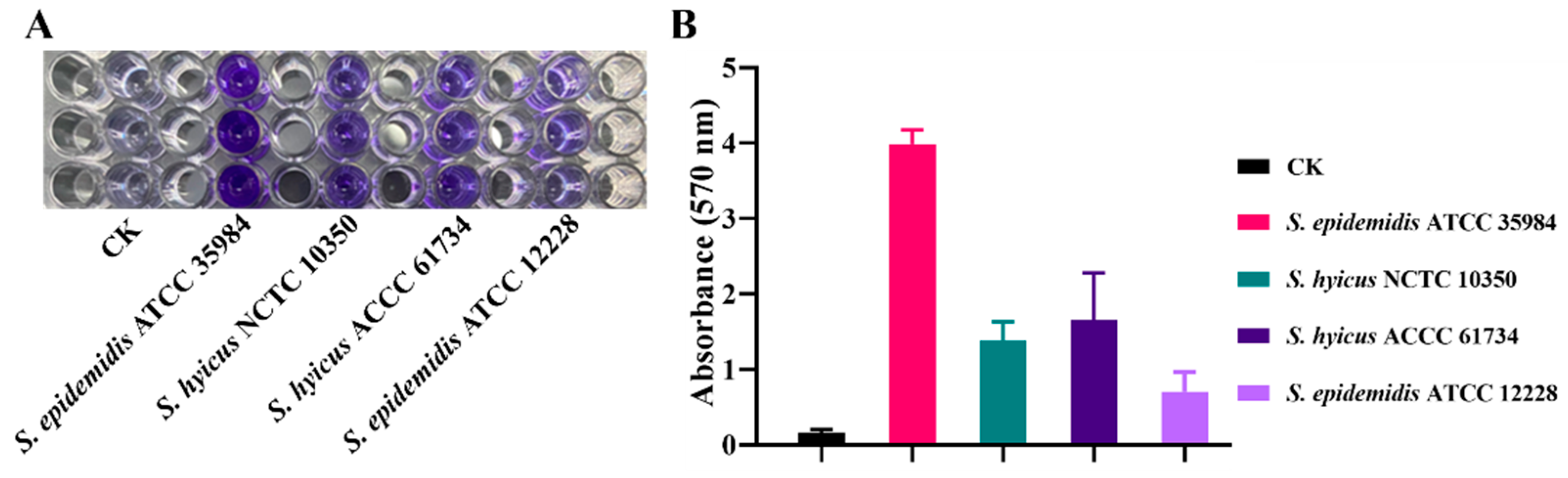 Pharmaceutics 16 01350 g003